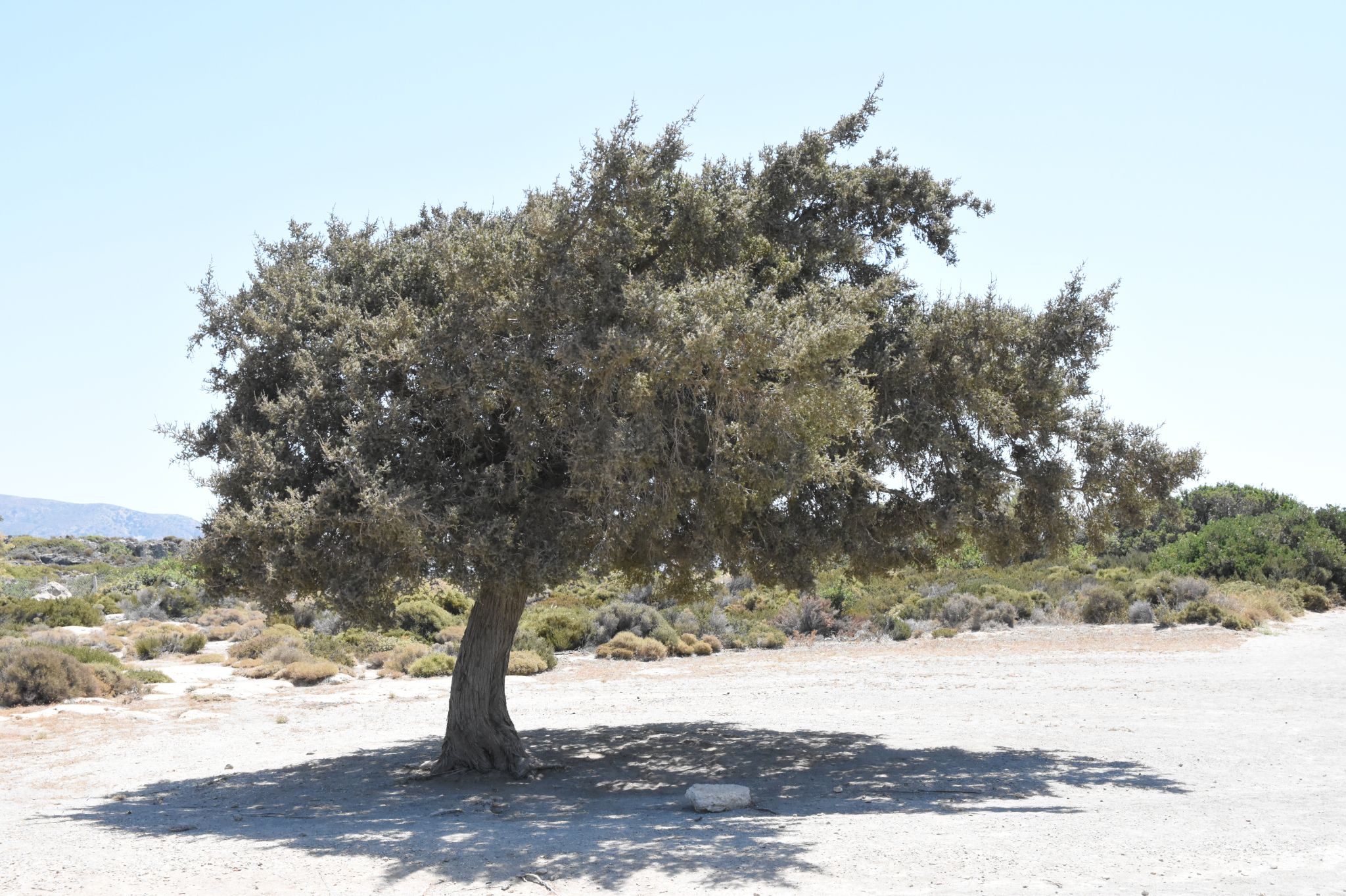 2023 08 22 11.57.33 nikon d7200