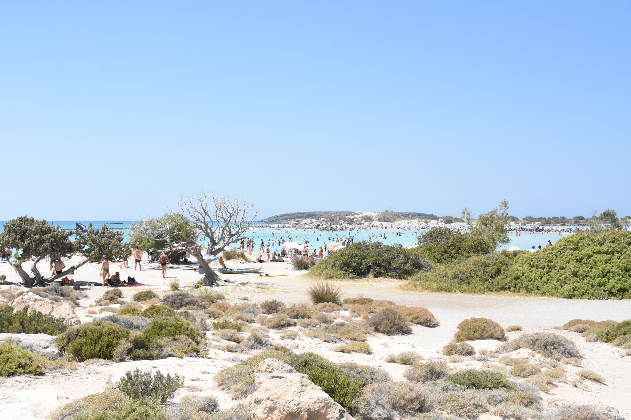 2023 08 22 11.58.38 nikon d7200