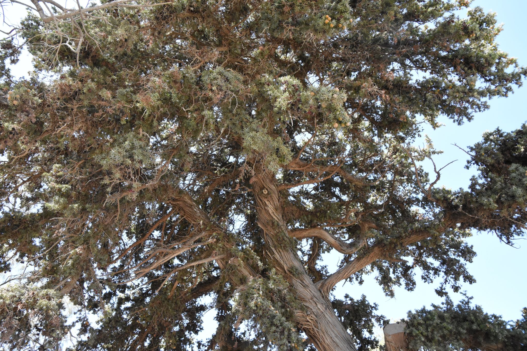 2023 08 22 12.14.14 nikon d7200