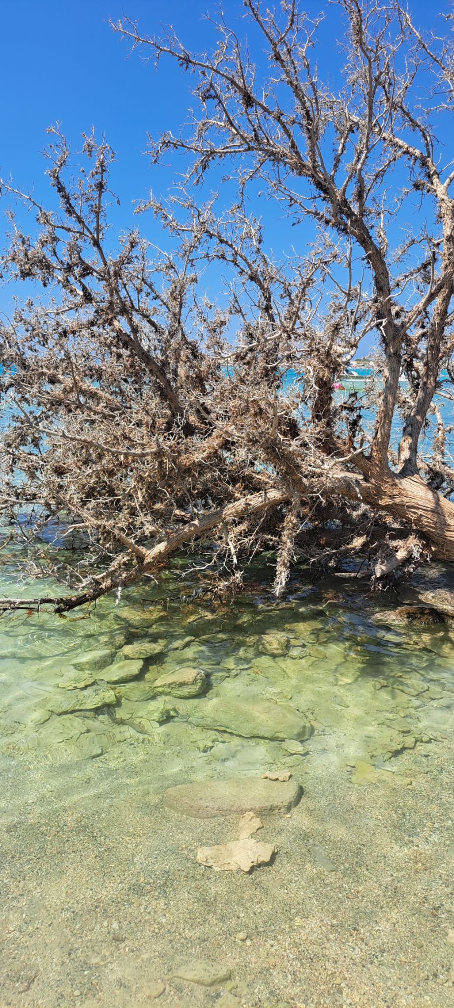 2023 08 22 12.38.34 samsung a53