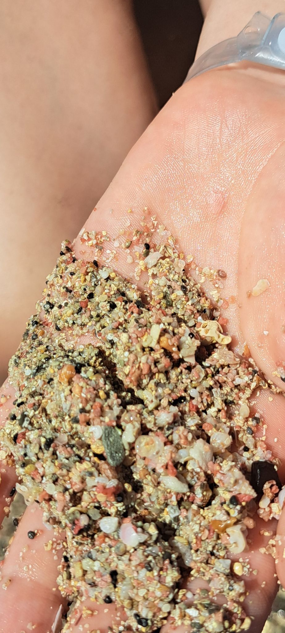 2023 08 22 12.42.56 samsung a53