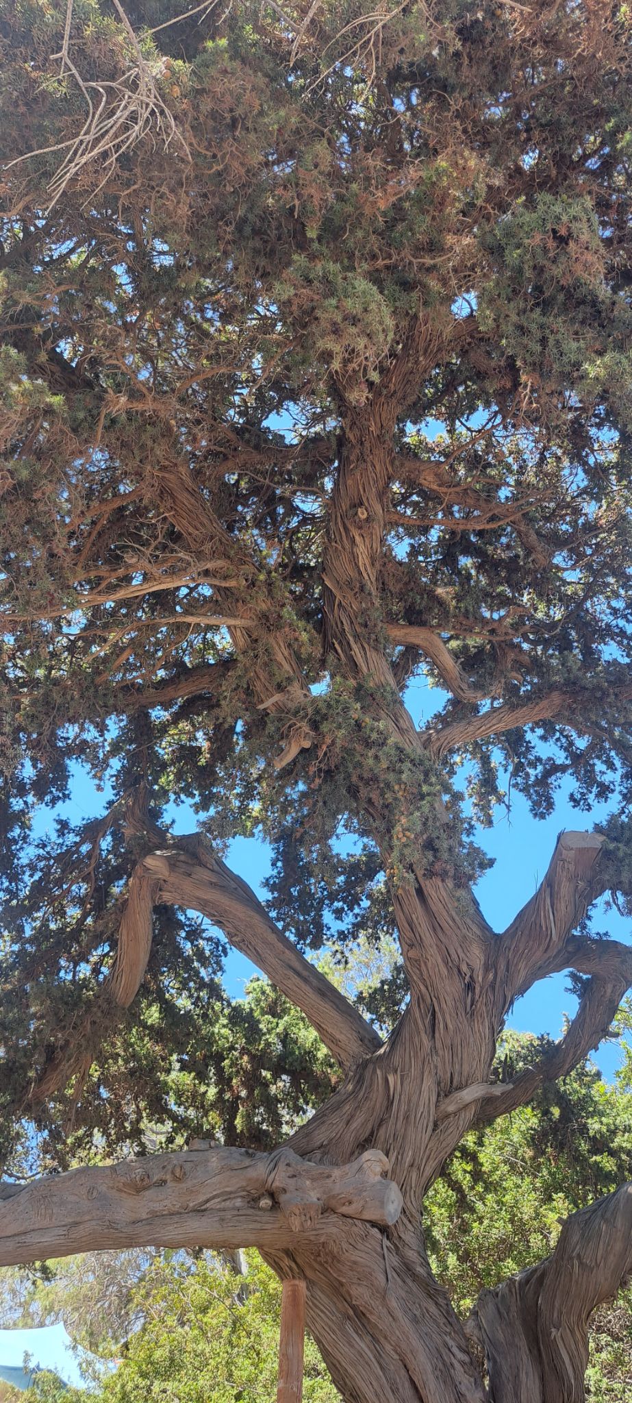 2023 08 22 14.11.59 samsung a53