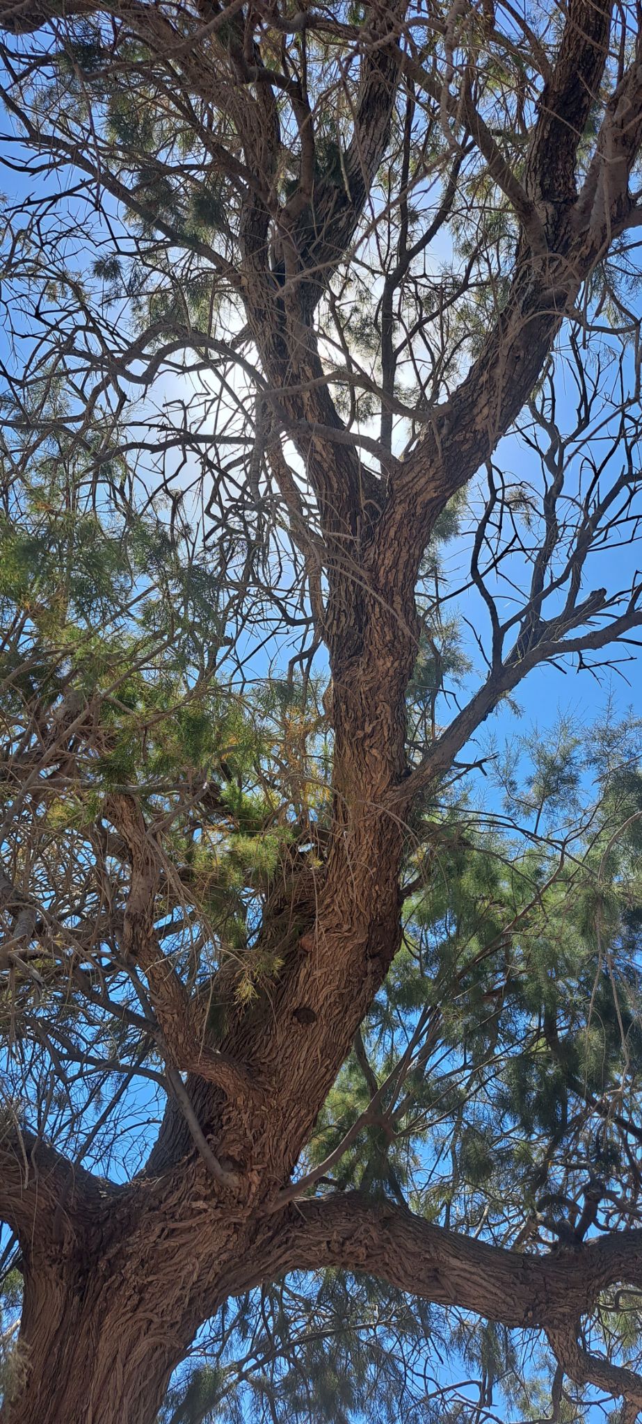 2023 08 22 14.12.03 samsung a53