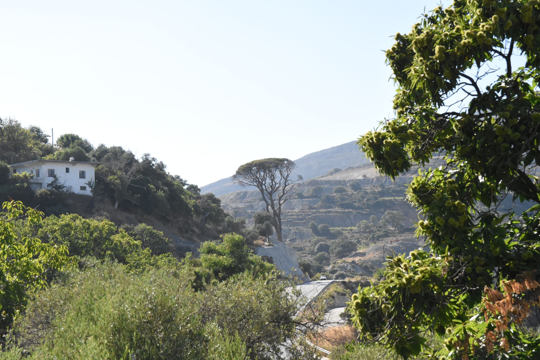 2023 08 22 16.10.21 nikon d7200