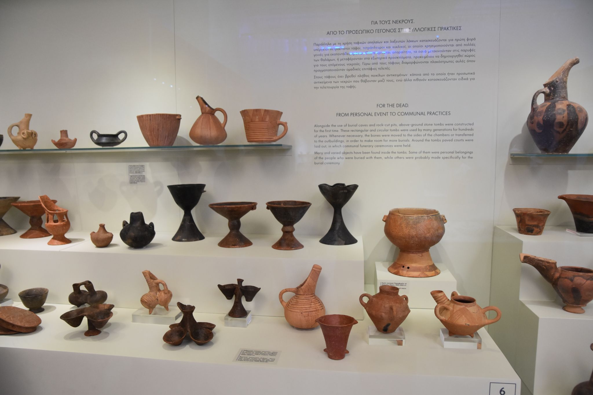 2023 08 25 10.54.40 nikon d7200