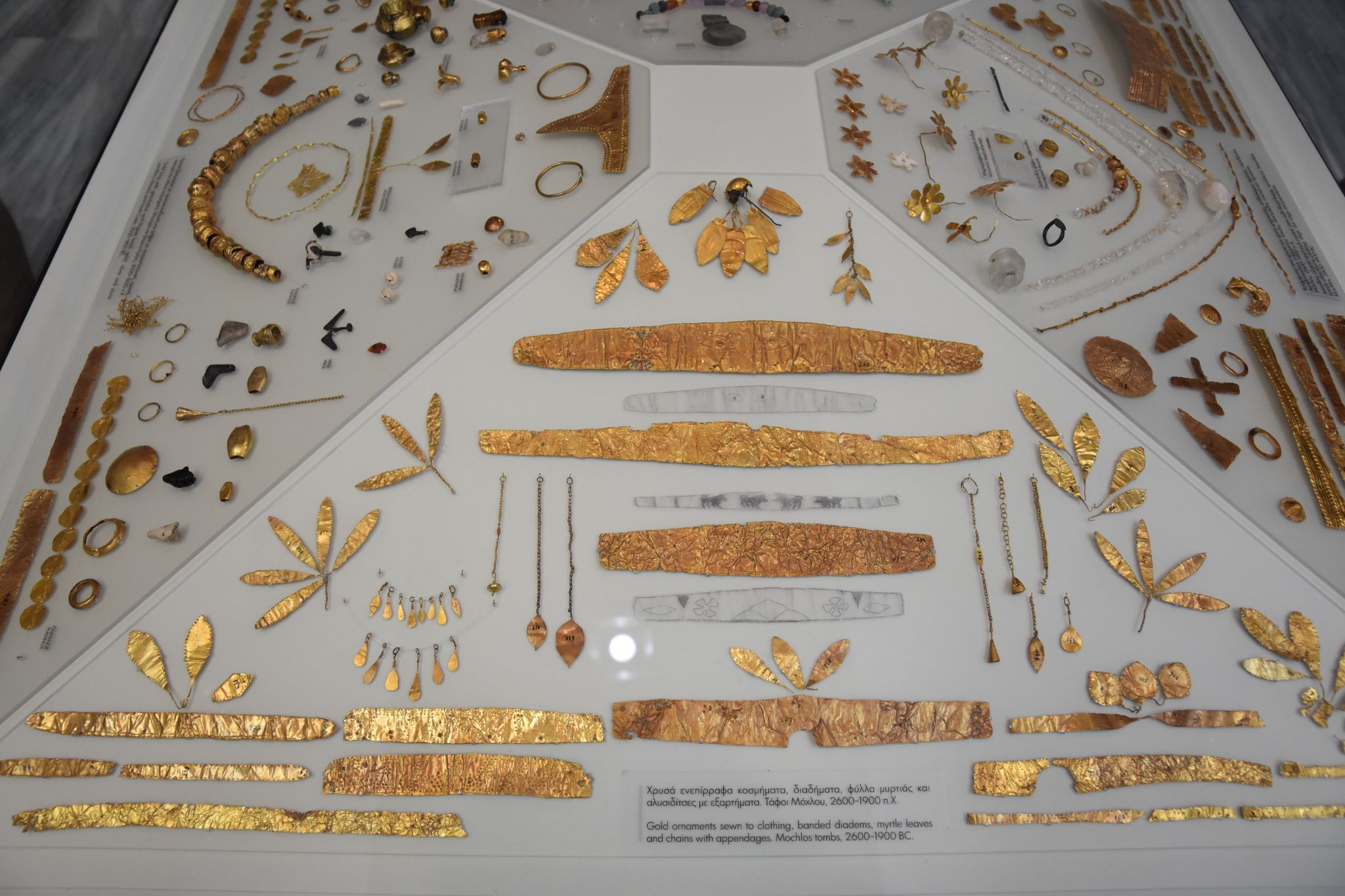 2023 08 25 10.55.08 nikon d7200