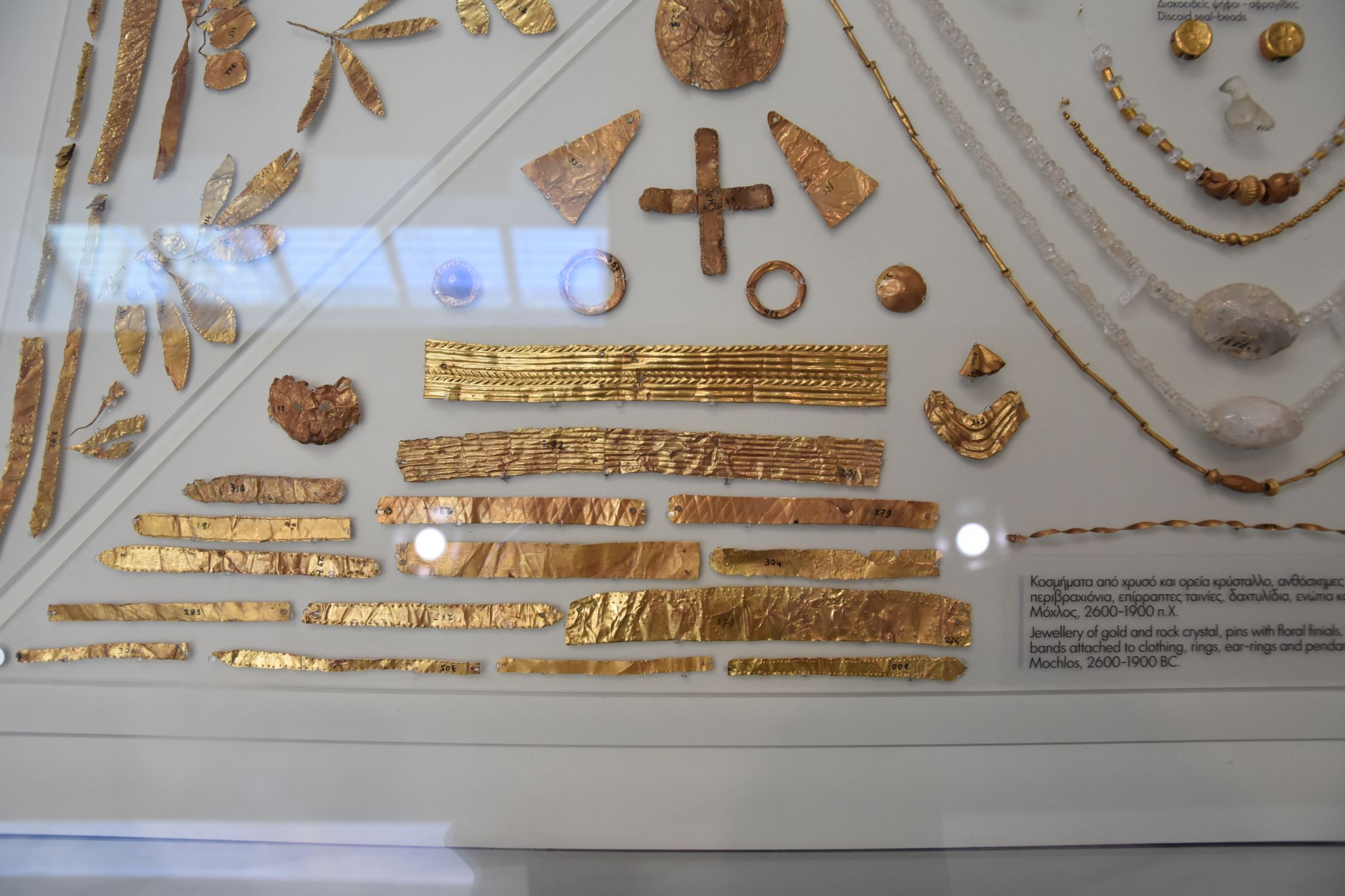 2023 08 25 10.55.17 nikon d7200