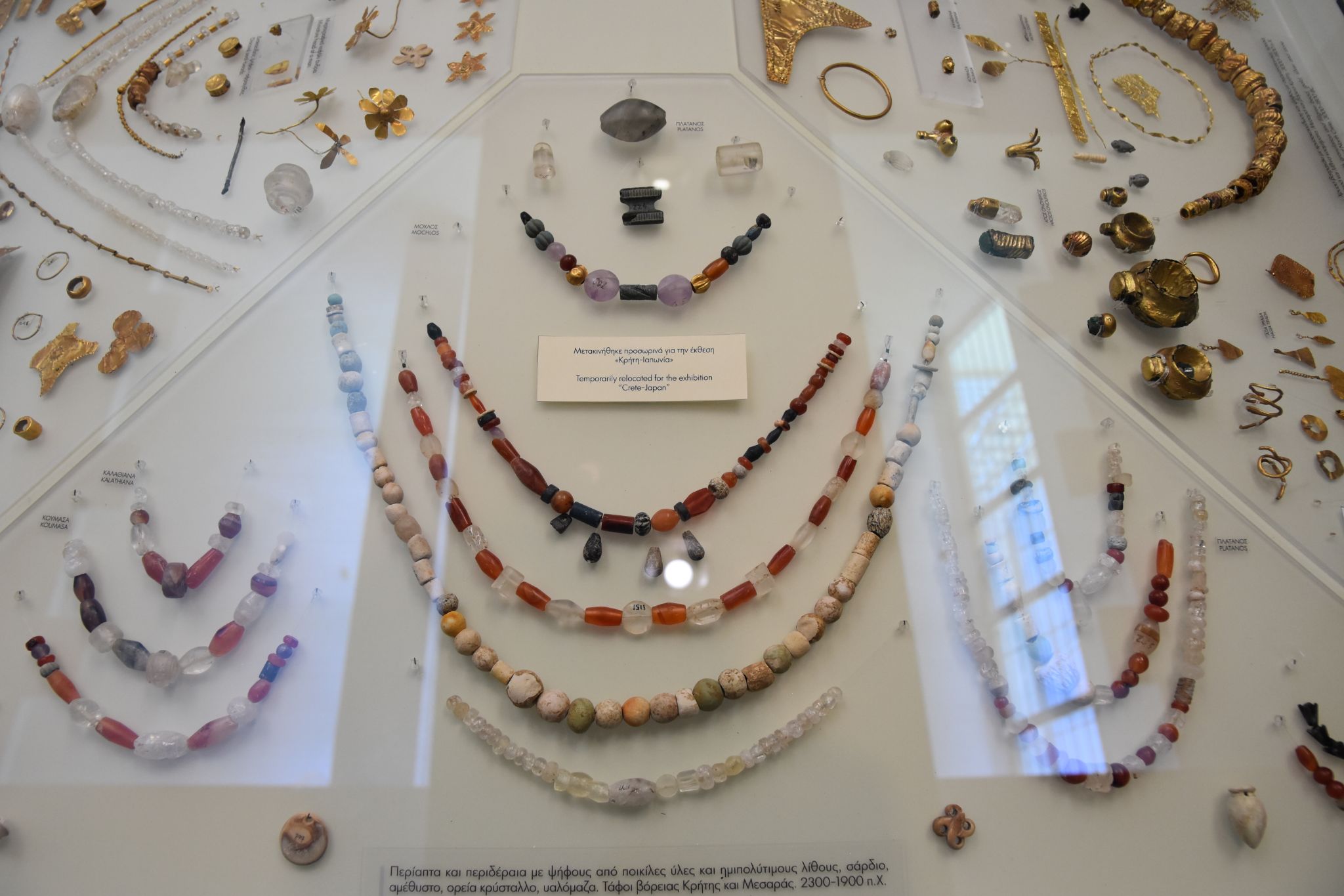 2023 08 25 10.55.31 nikon d7200