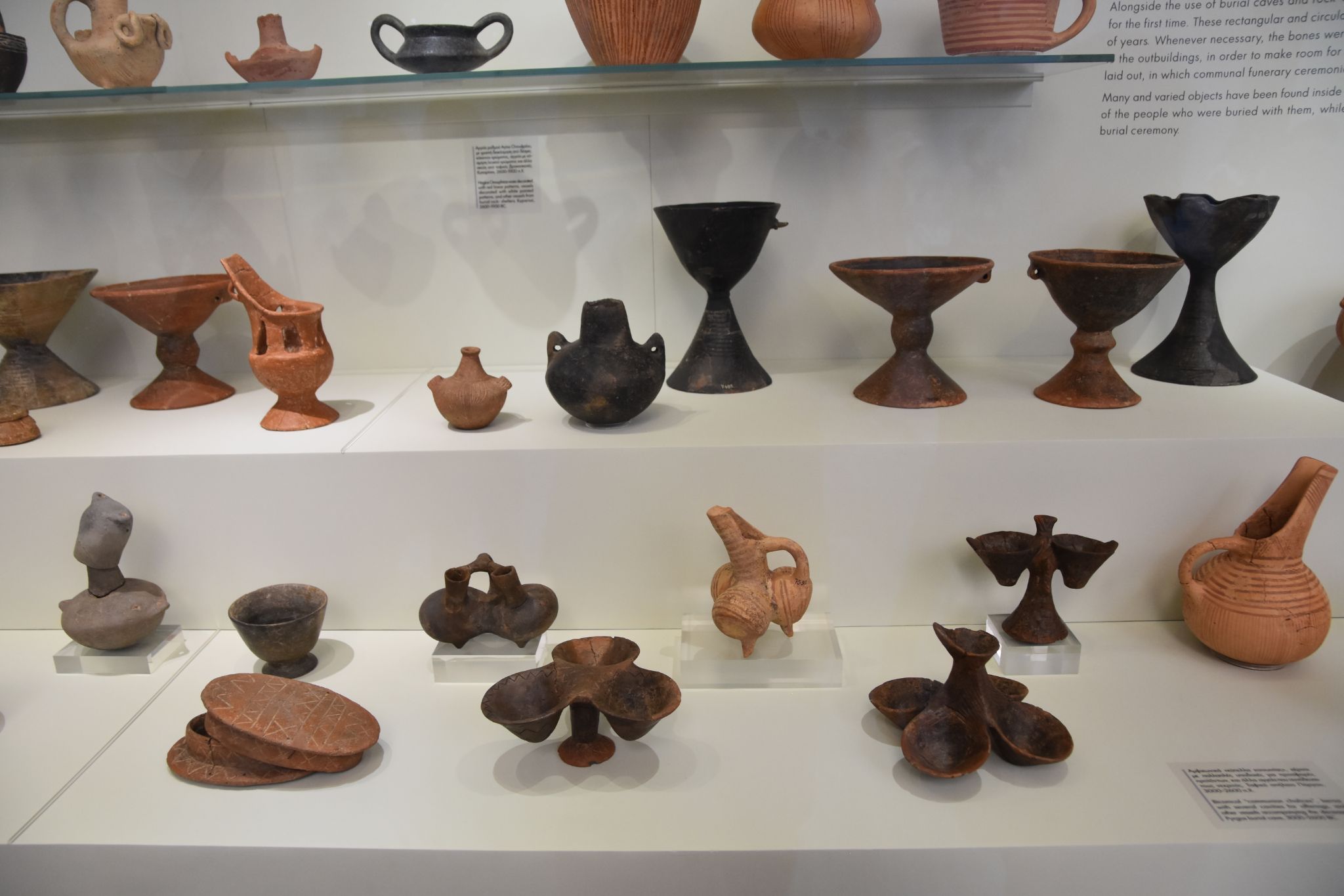 2023 08 25 10.55.49 nikon d7200