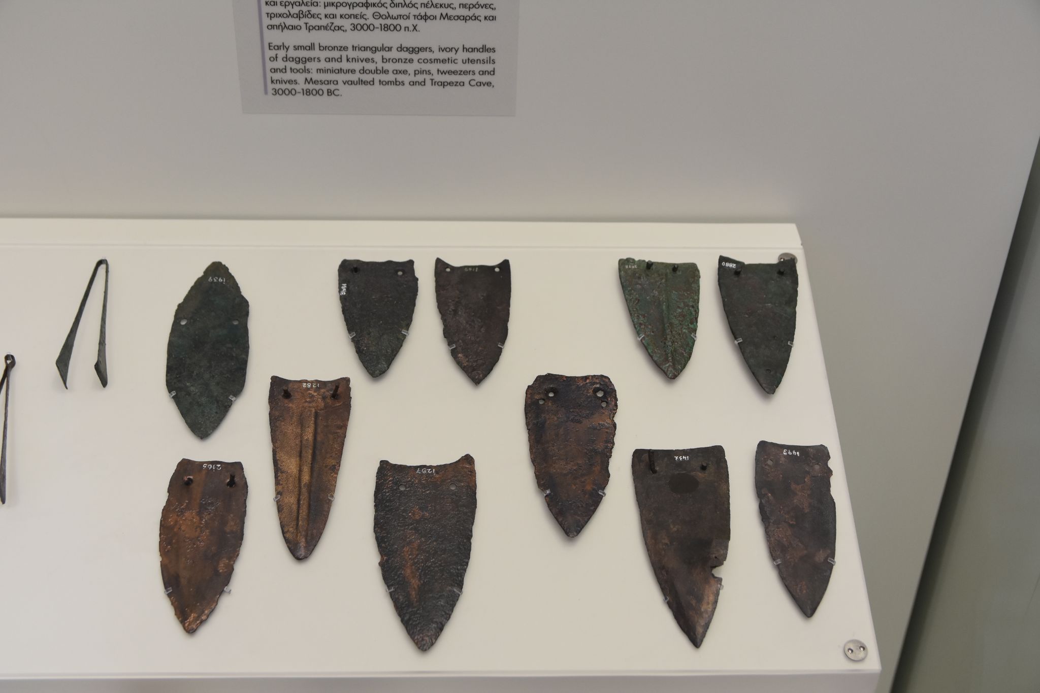 2023 08 25 10.56.53 nikon d7200