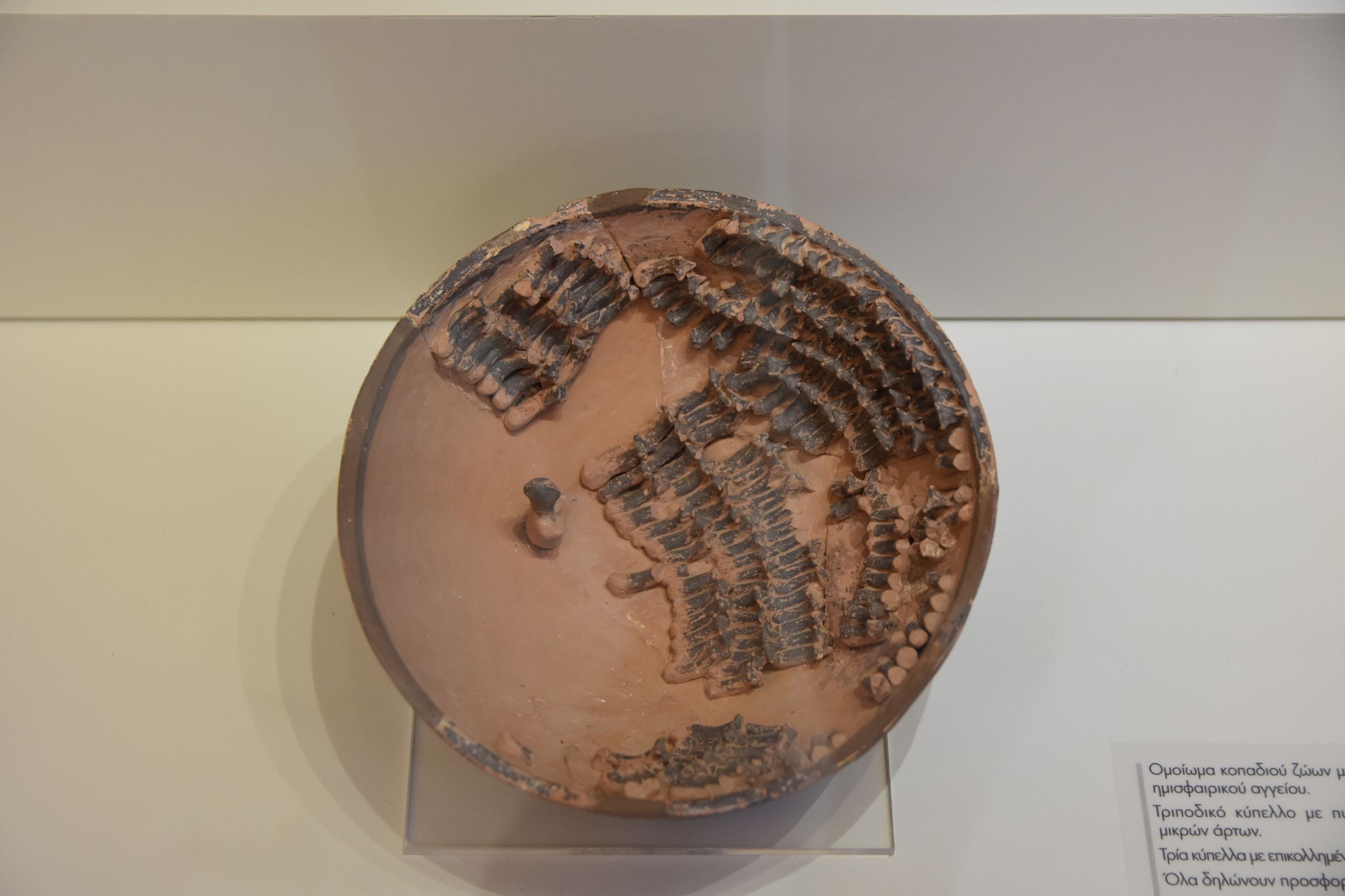 2023 08 25 10.58.12 nikon d7200