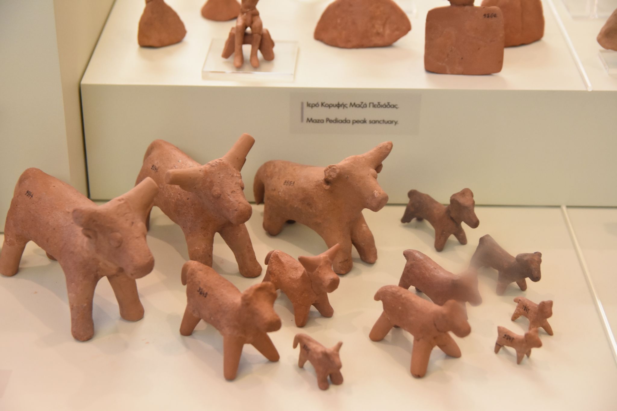 2023 08 25 10.58.26 nikon d7200