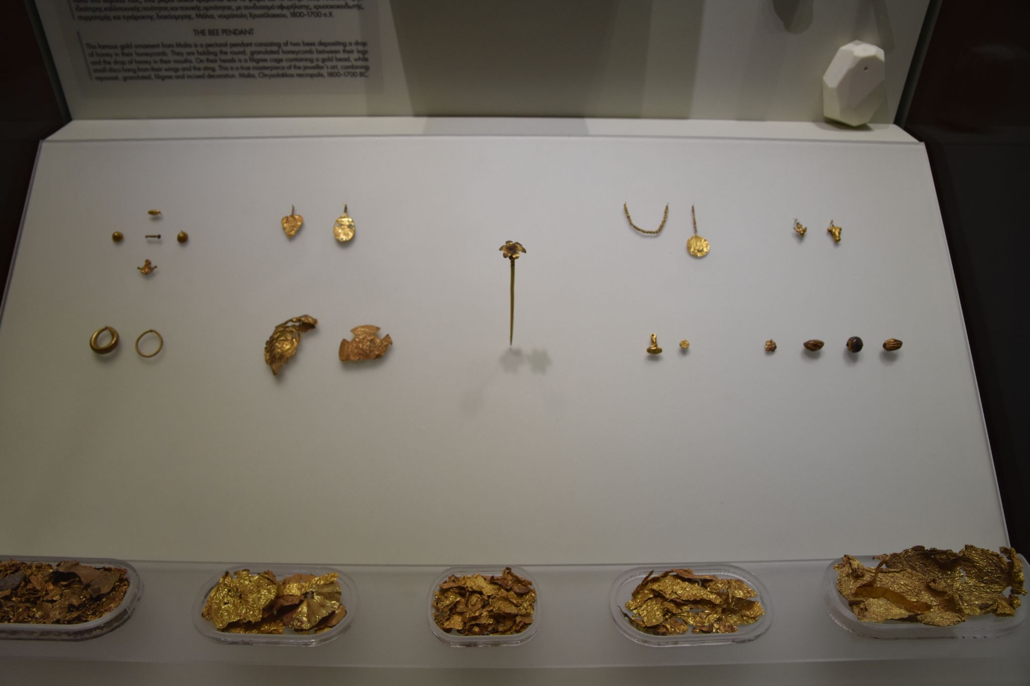 2023 08 25 10.59.47 nikon d7200