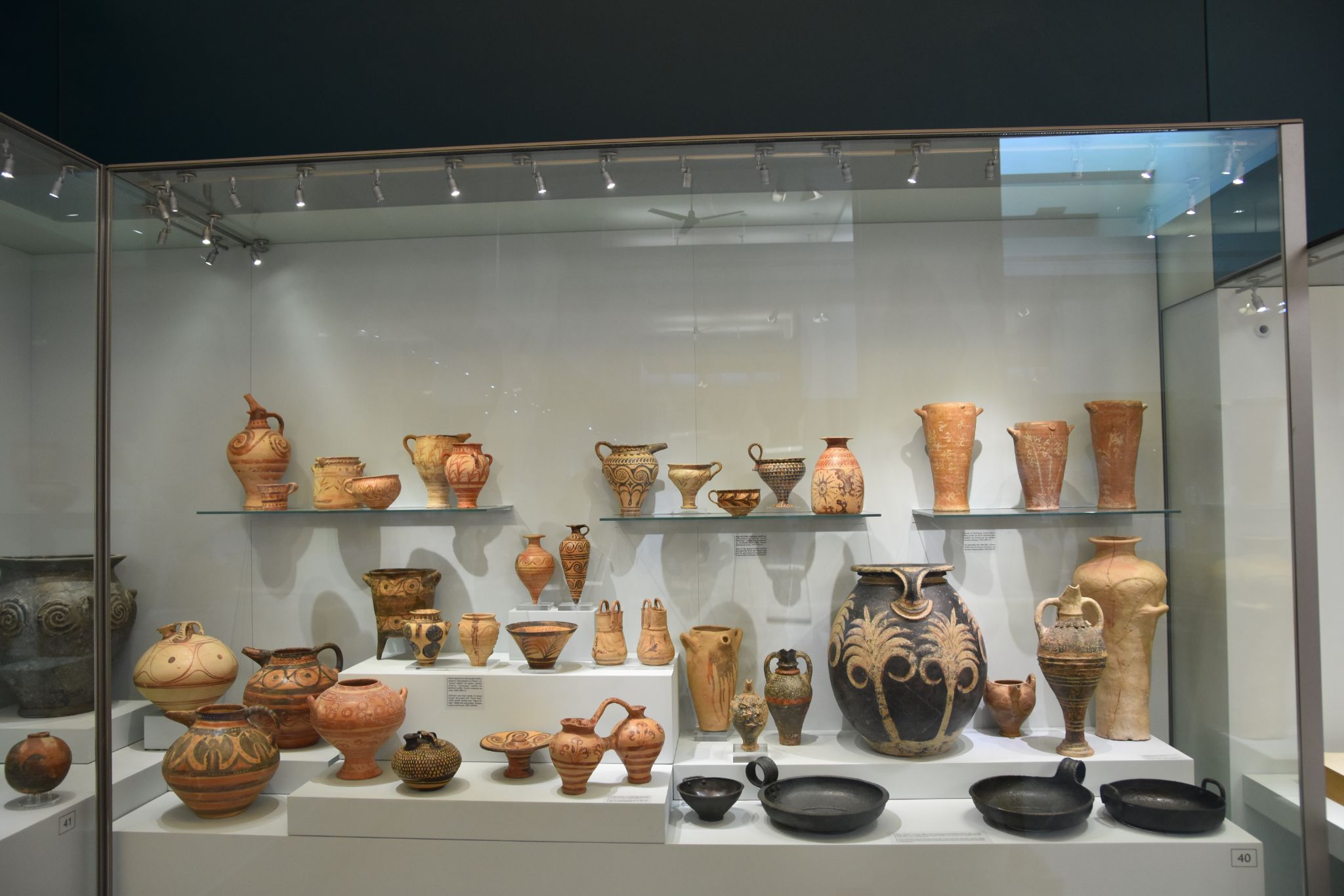 2023 08 25 11.03.08 nikon d7200