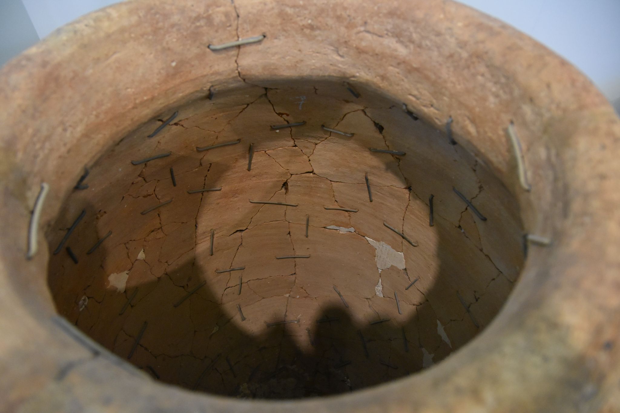 2023 08 25 11.07.31 nikon d7200