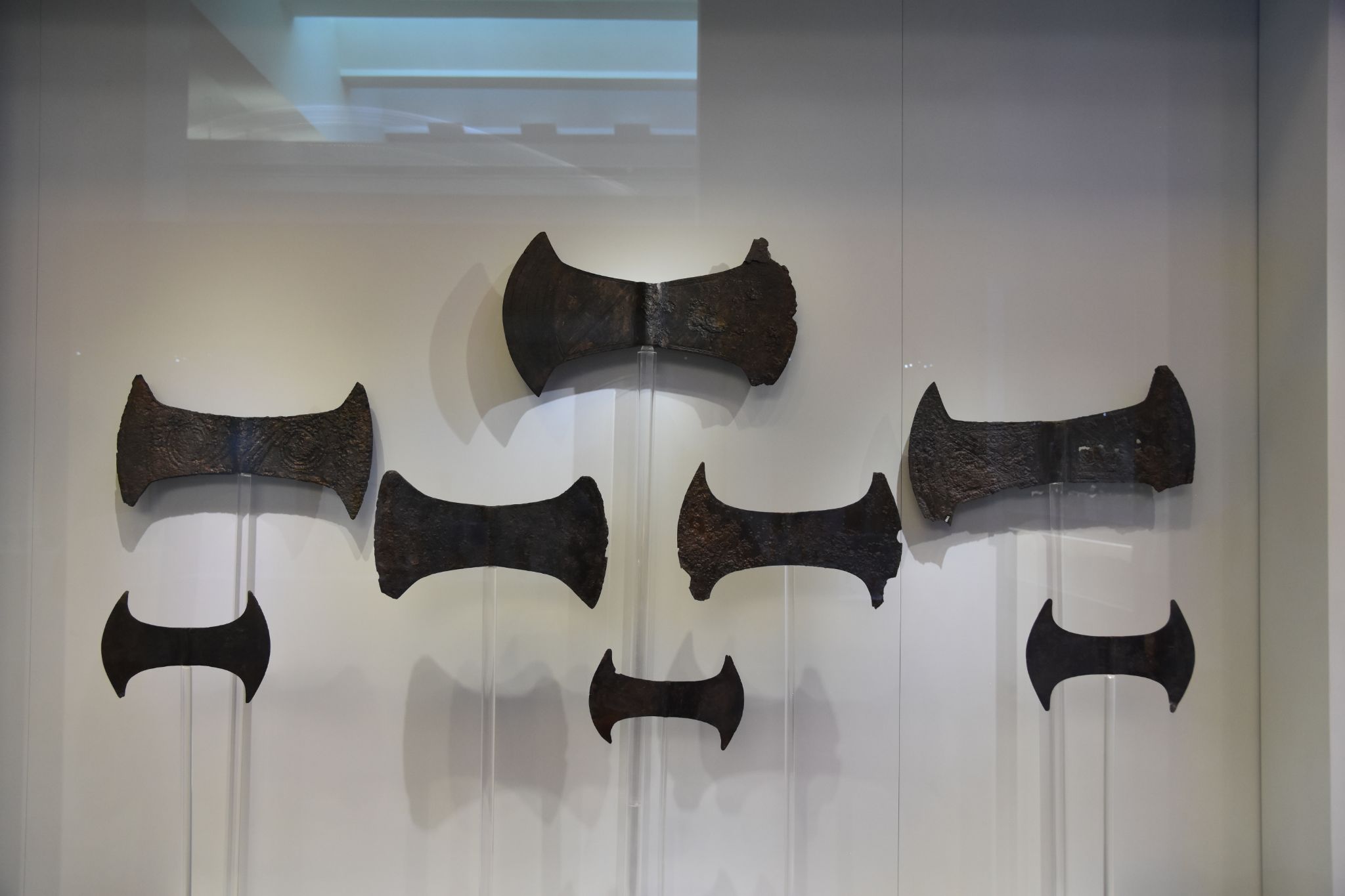 2023 08 25 11.08.58 nikon d7200