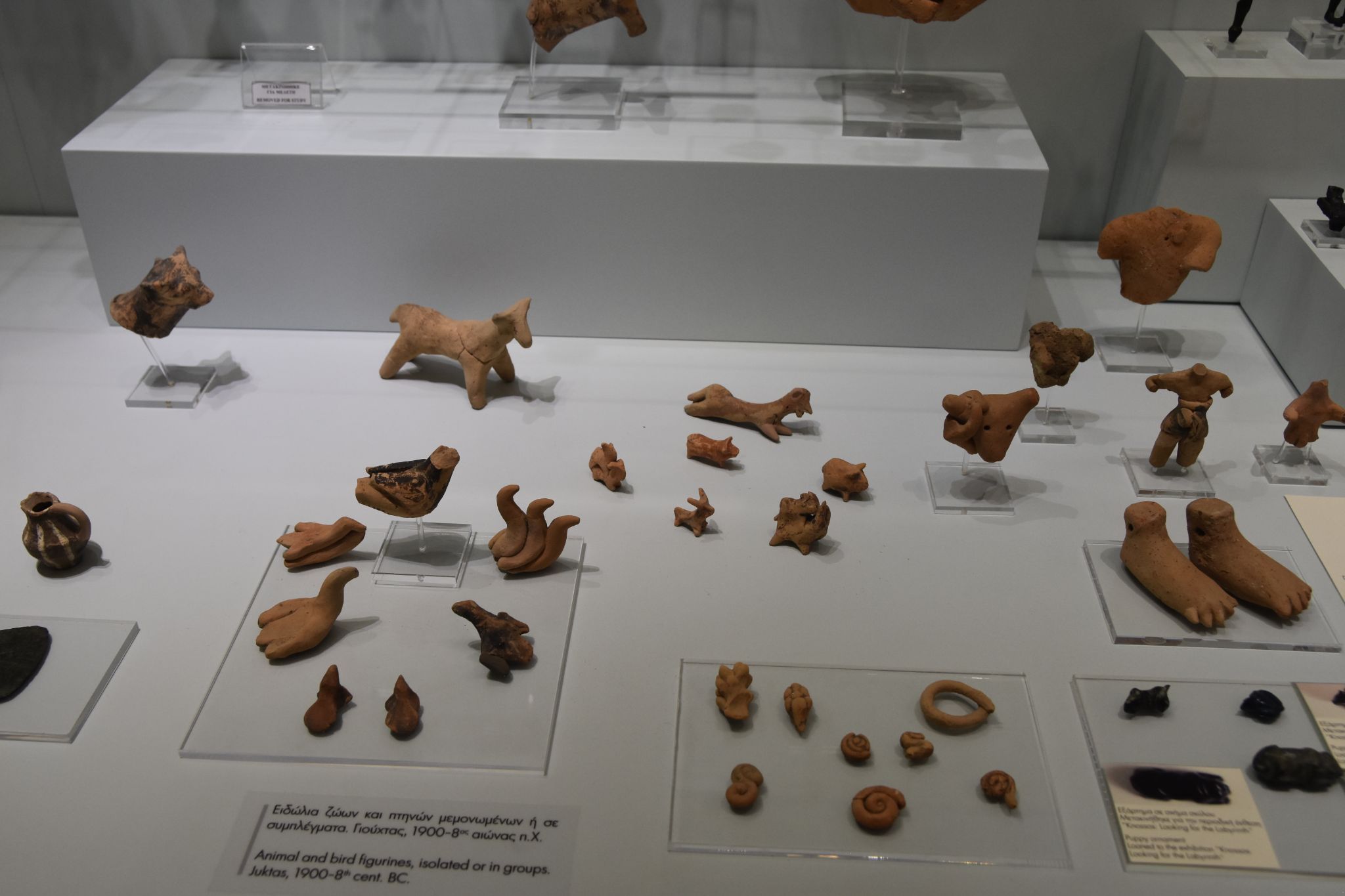 2023 08 25 11.09.53 nikon d7200