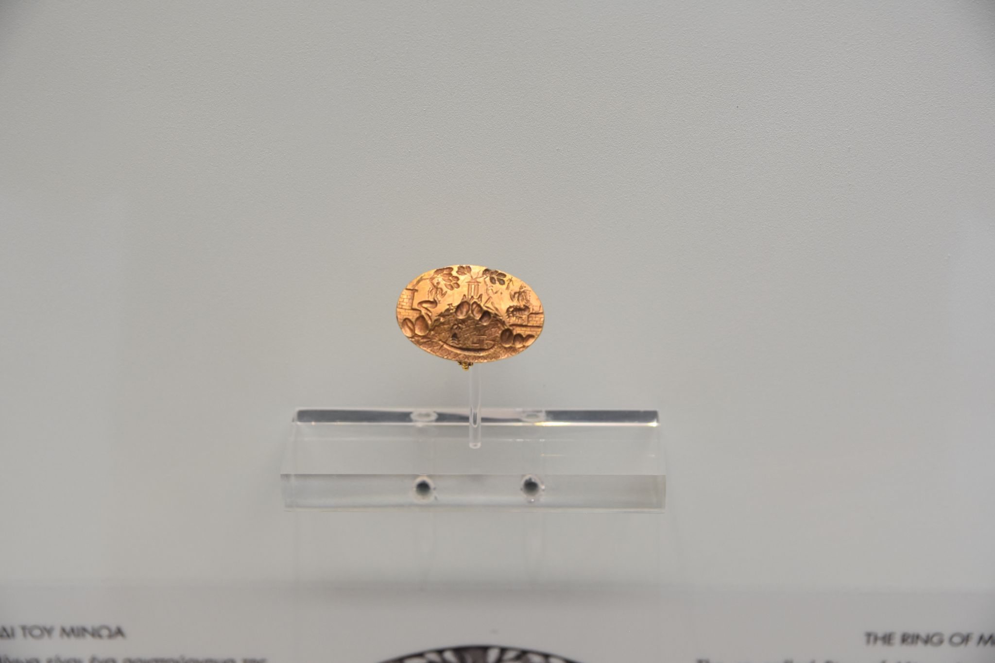 2023 08 25 11.12.02 nikon d7200