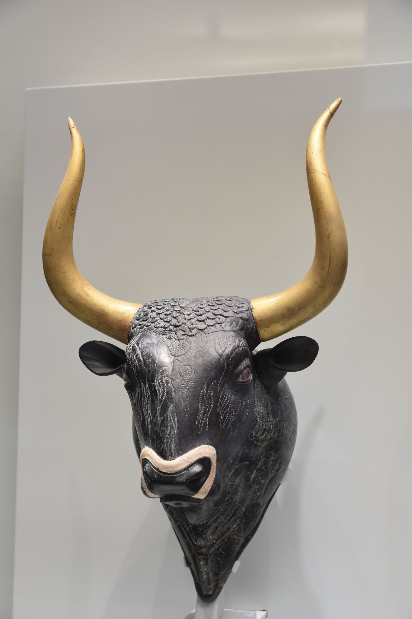 2023 08 25 11.12.42 nikon d7200