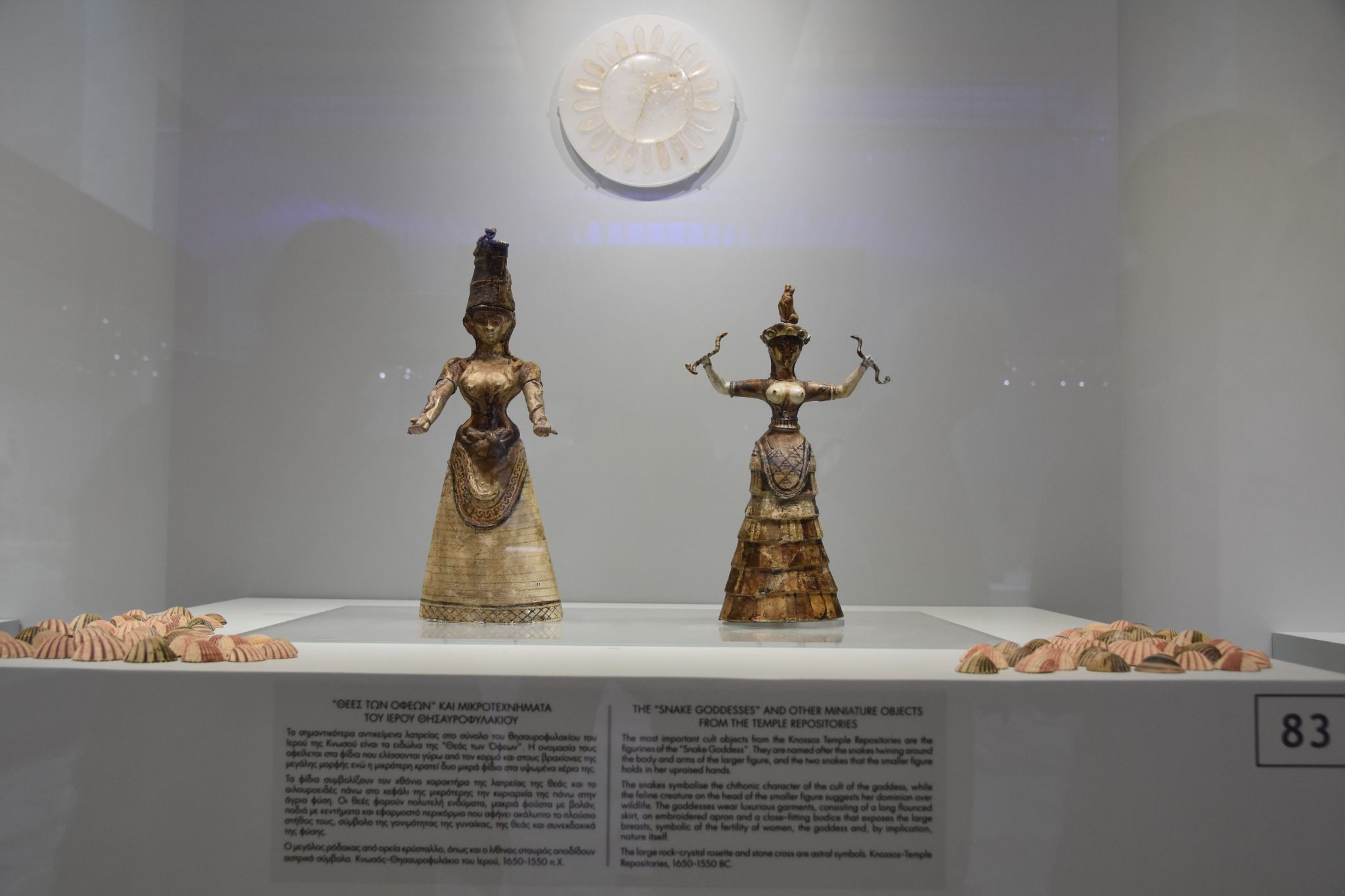 2023 08 25 11.13.22 nikon d7200