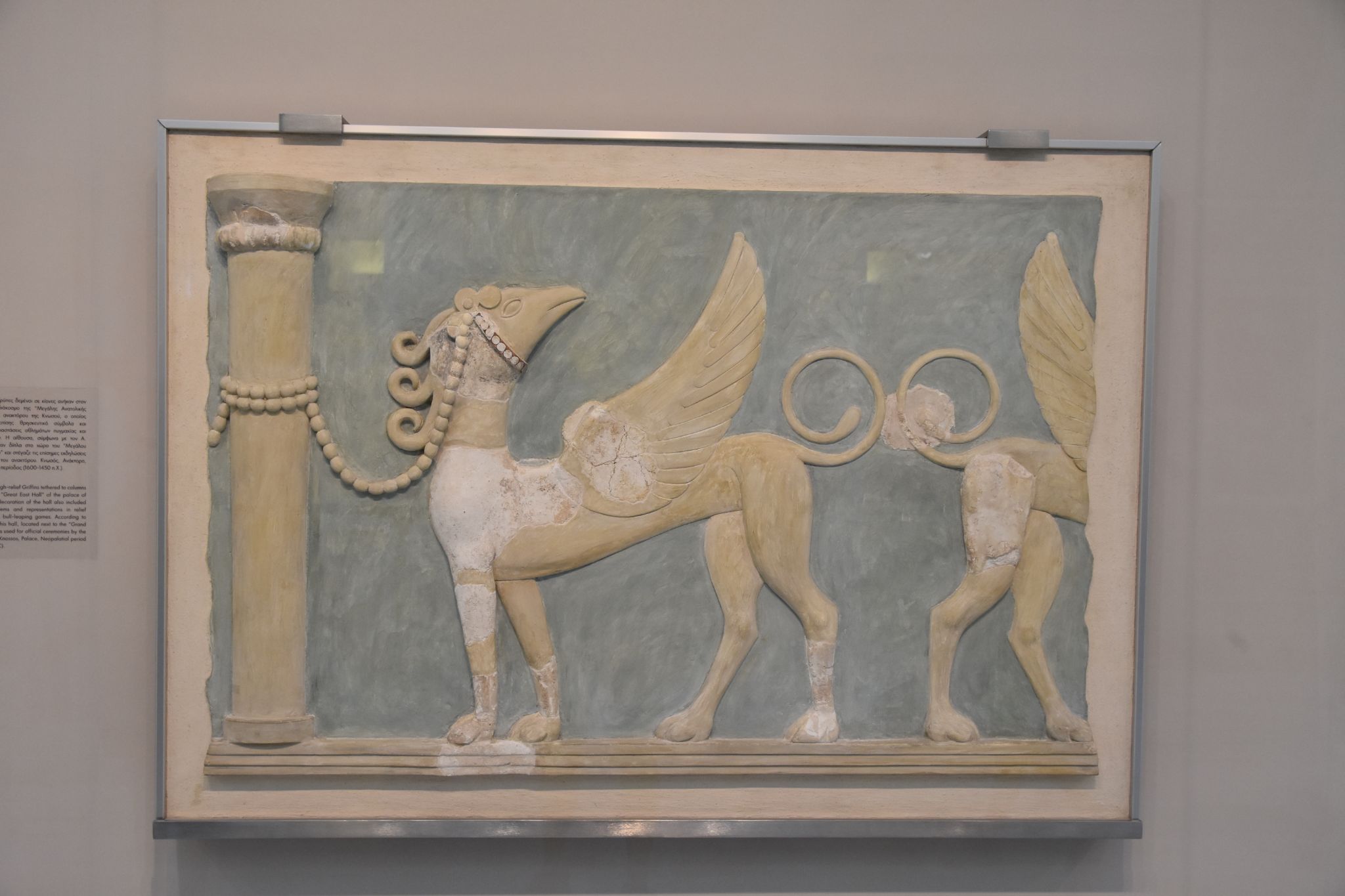 2023 08 25 11.24.33 nikon d7200