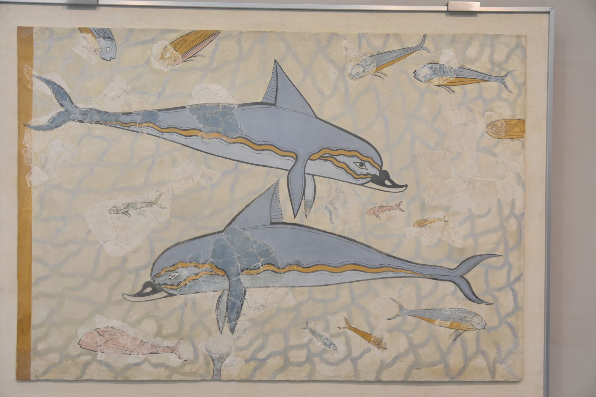 2023 08 25 11.25.37 nikon d7200