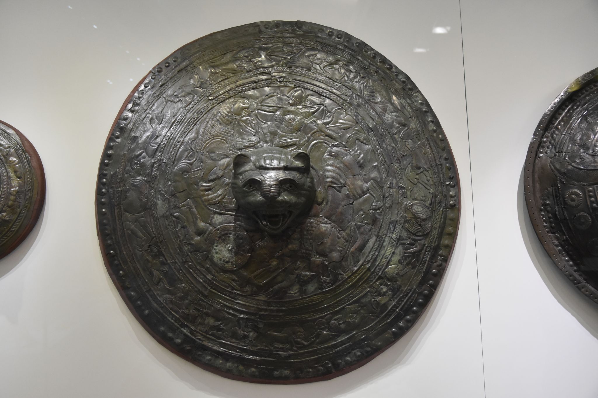 2023 08 25 11.29.41 nikon d7200