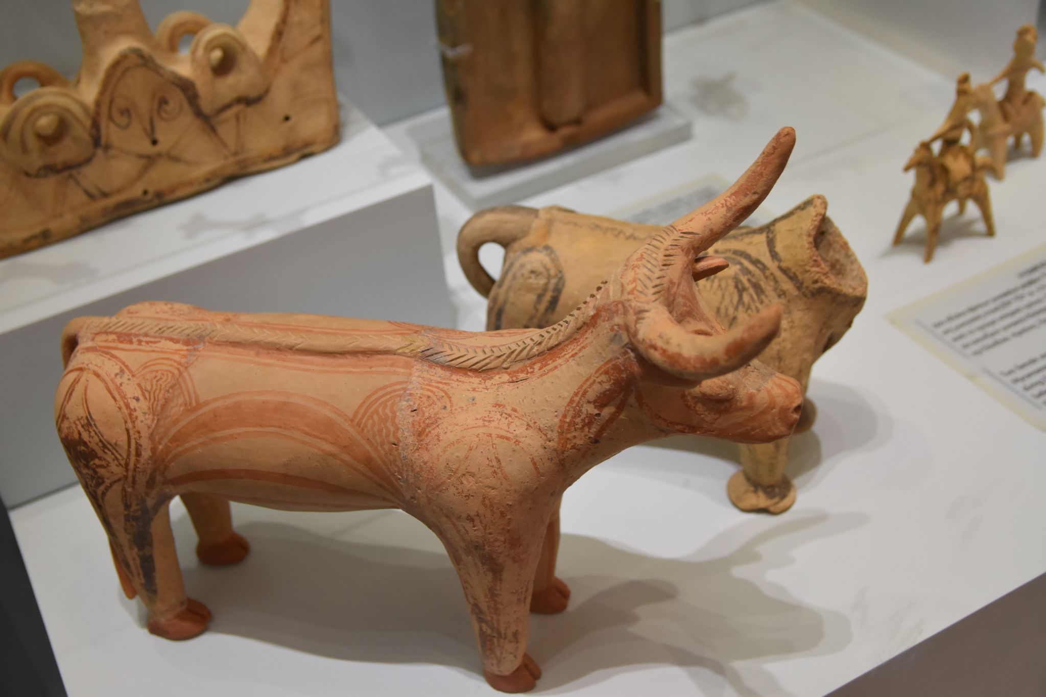 2023 08 25 11.30.18 nikon d7200