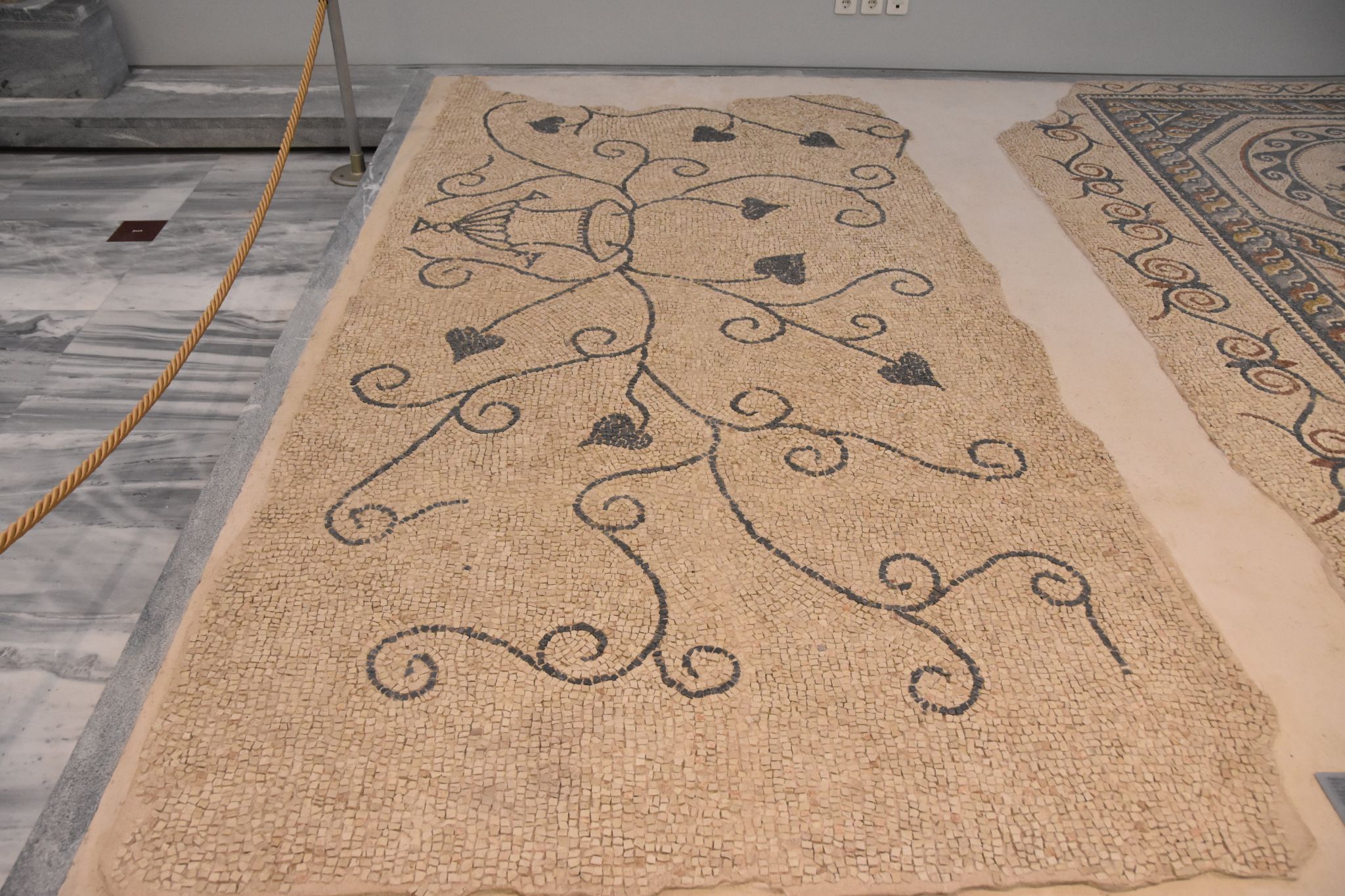 2023 08 25 11.33.15 nikon d7200