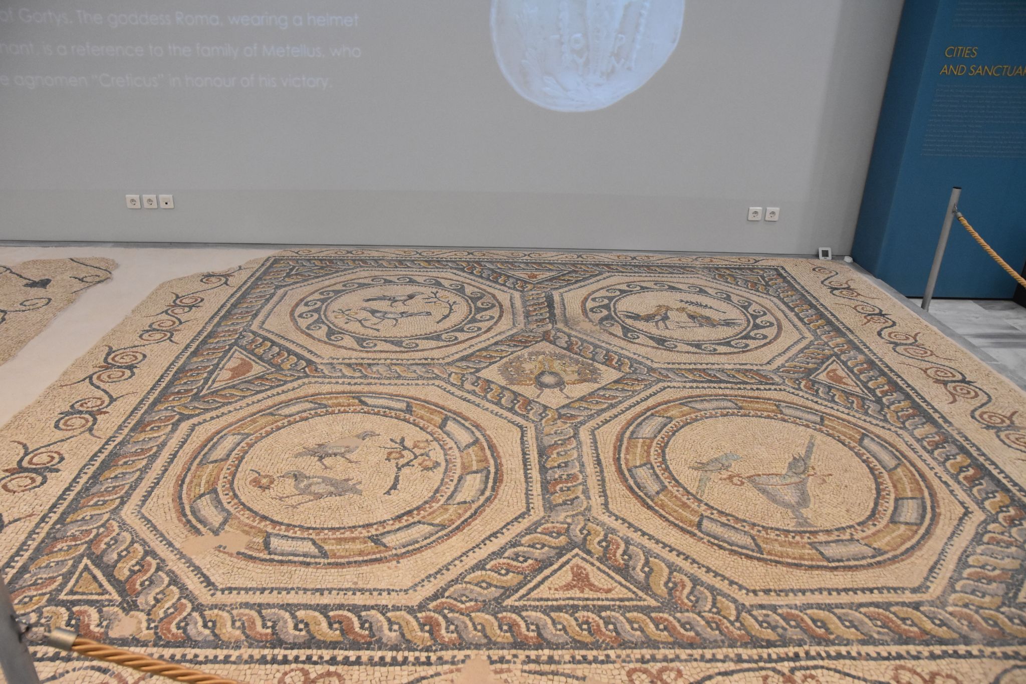 2023 08 25 11.33.46 nikon d7200