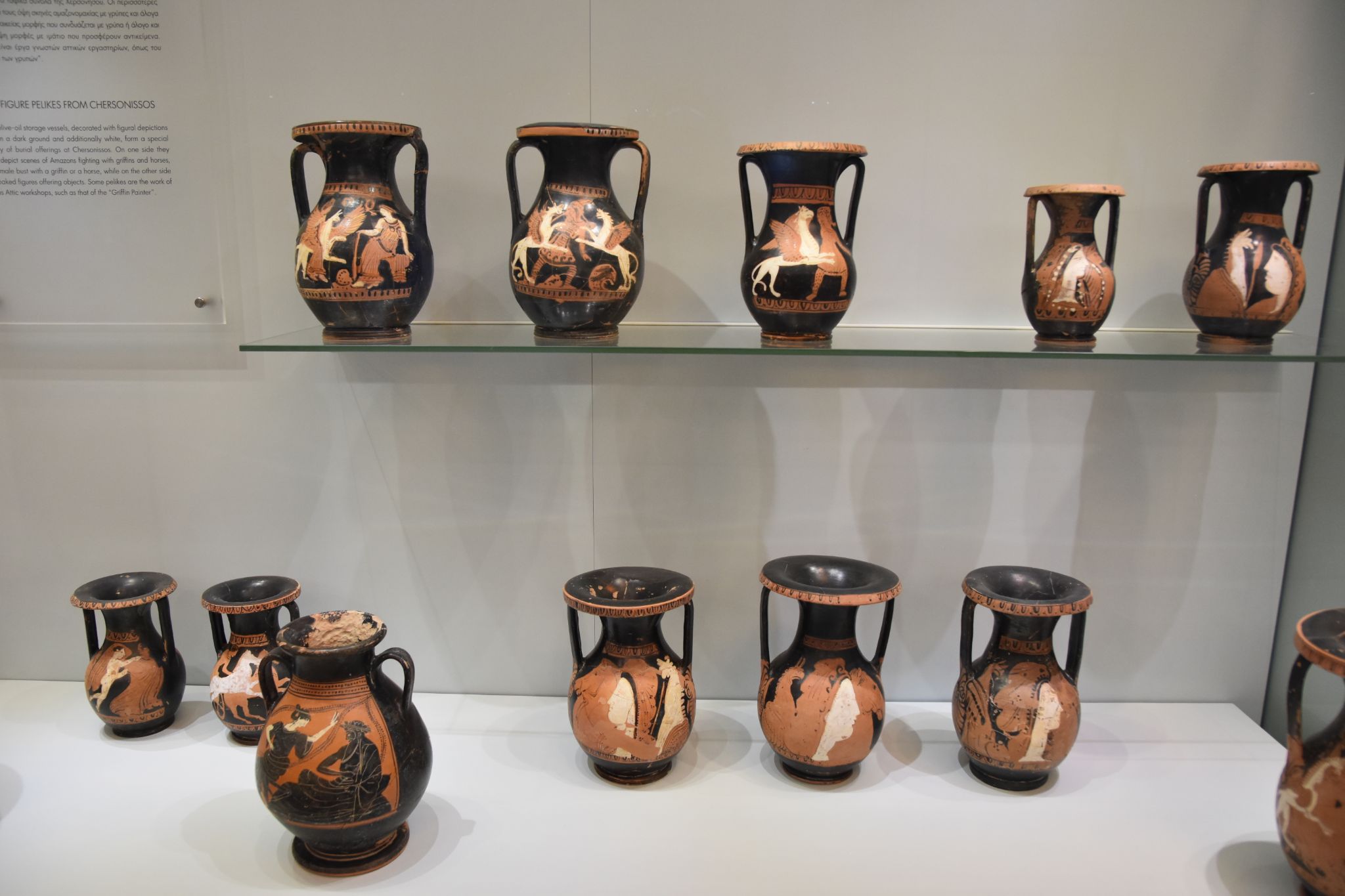 2023 08 25 11.37.09 nikon d7200