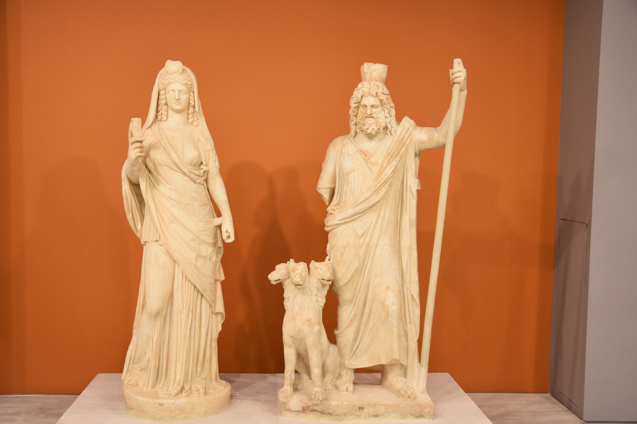 2023 08 25 11.51.56 nikon d7200