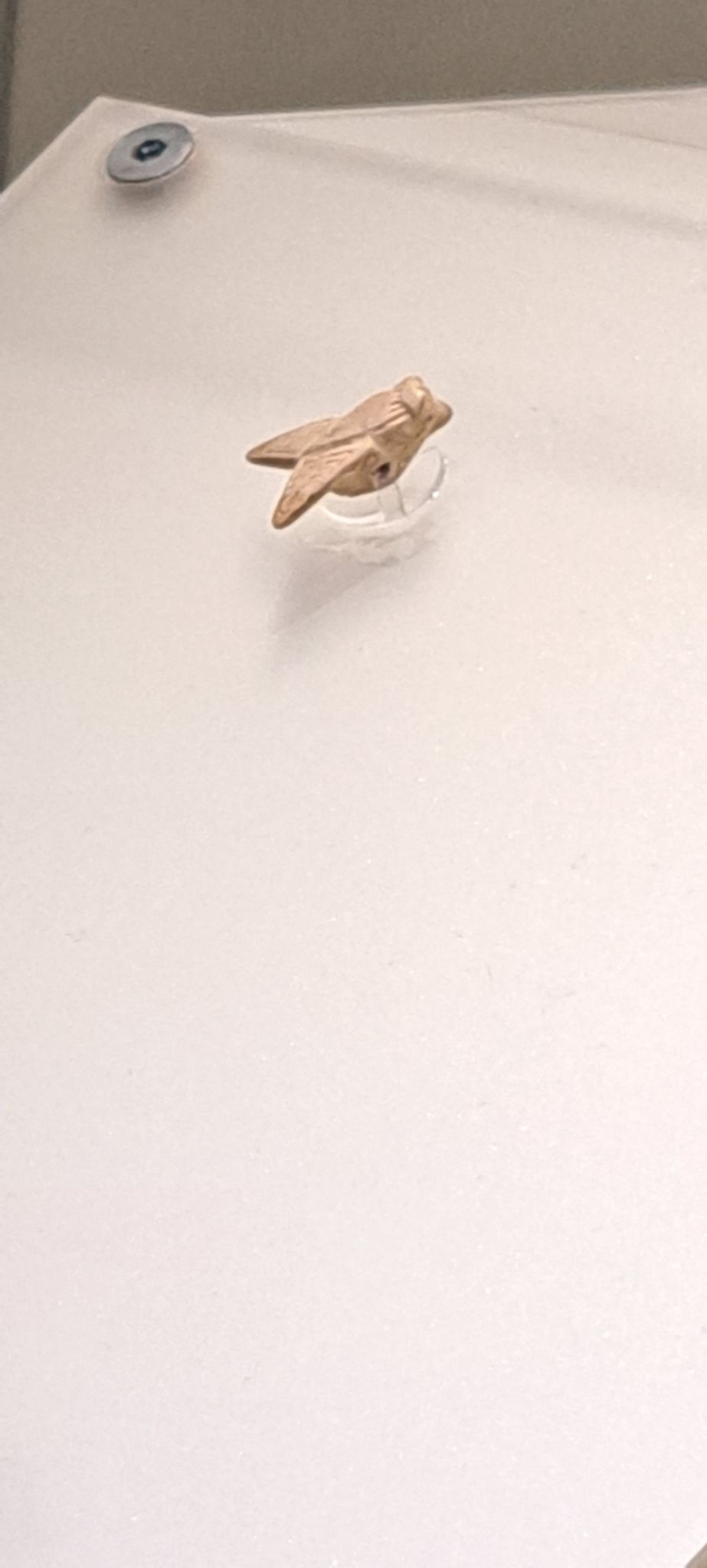 2023 08 25 11.52.48 samsung a53