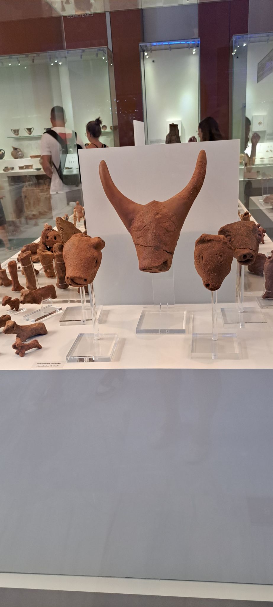 2023 08 25 11.57.22 samsung a53