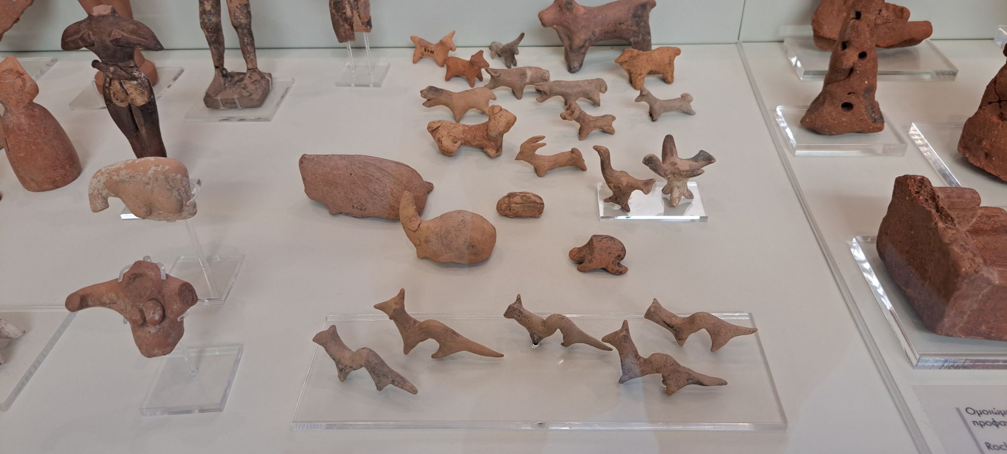 2023 08 25 11.57.55 samsung a53