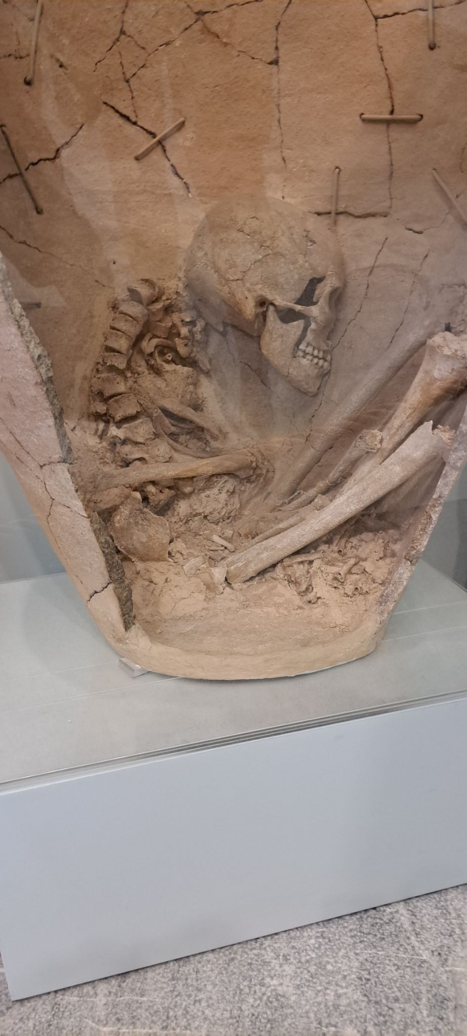 2023 08 25 12.15.59 samsung a53