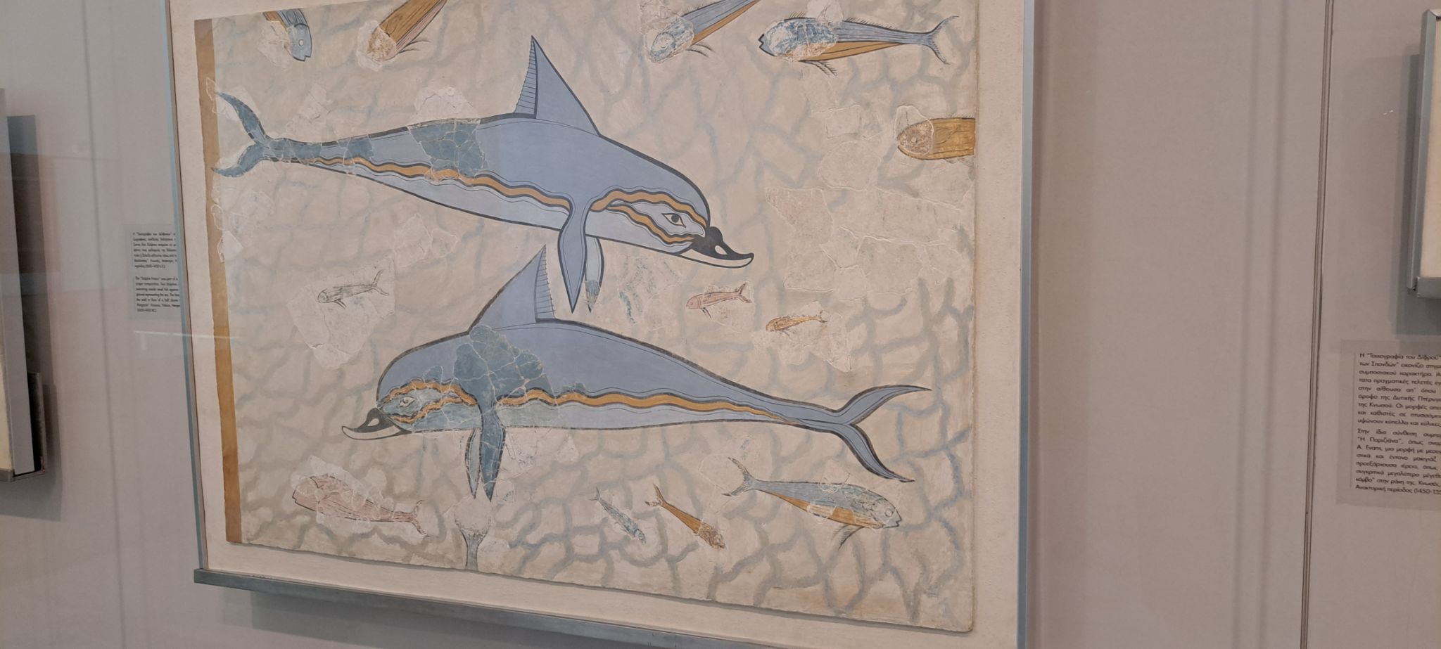 2023 08 25 12.25.18 samsung a53