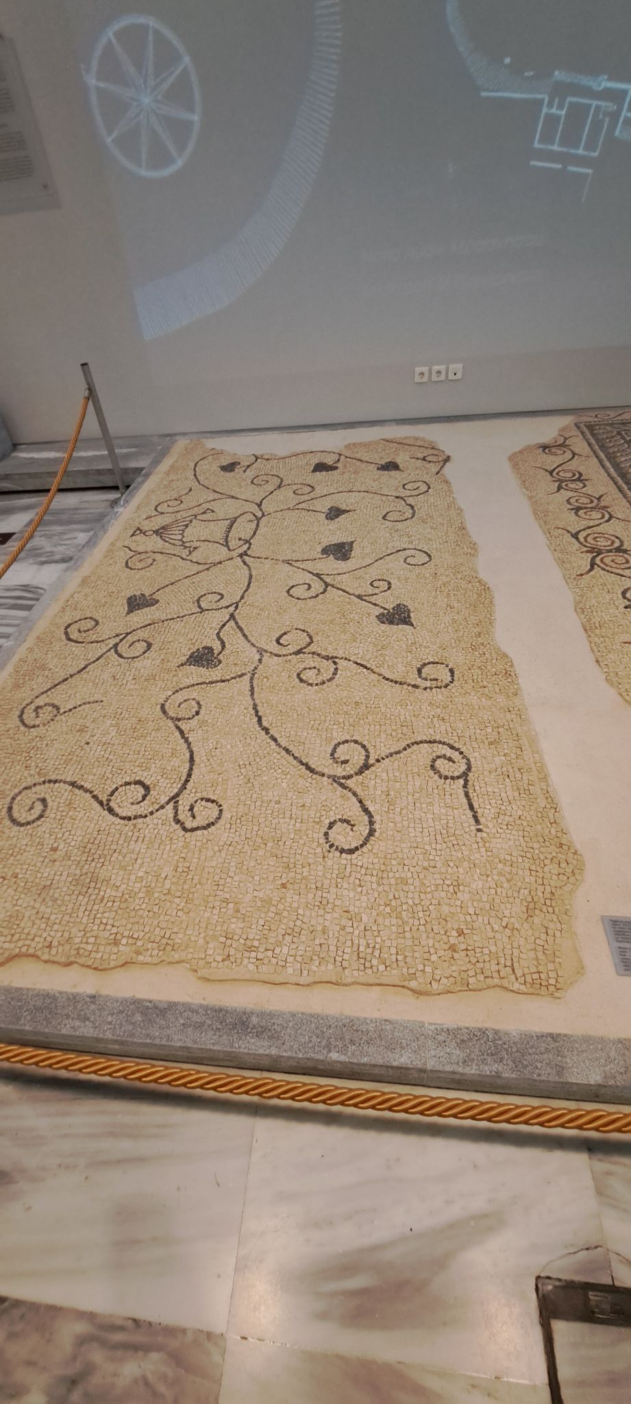 2023 08 25 12.31.43 samsung a53