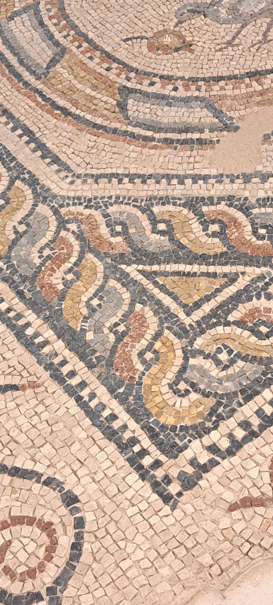 2023 08 25 12.31.54 samsung a53