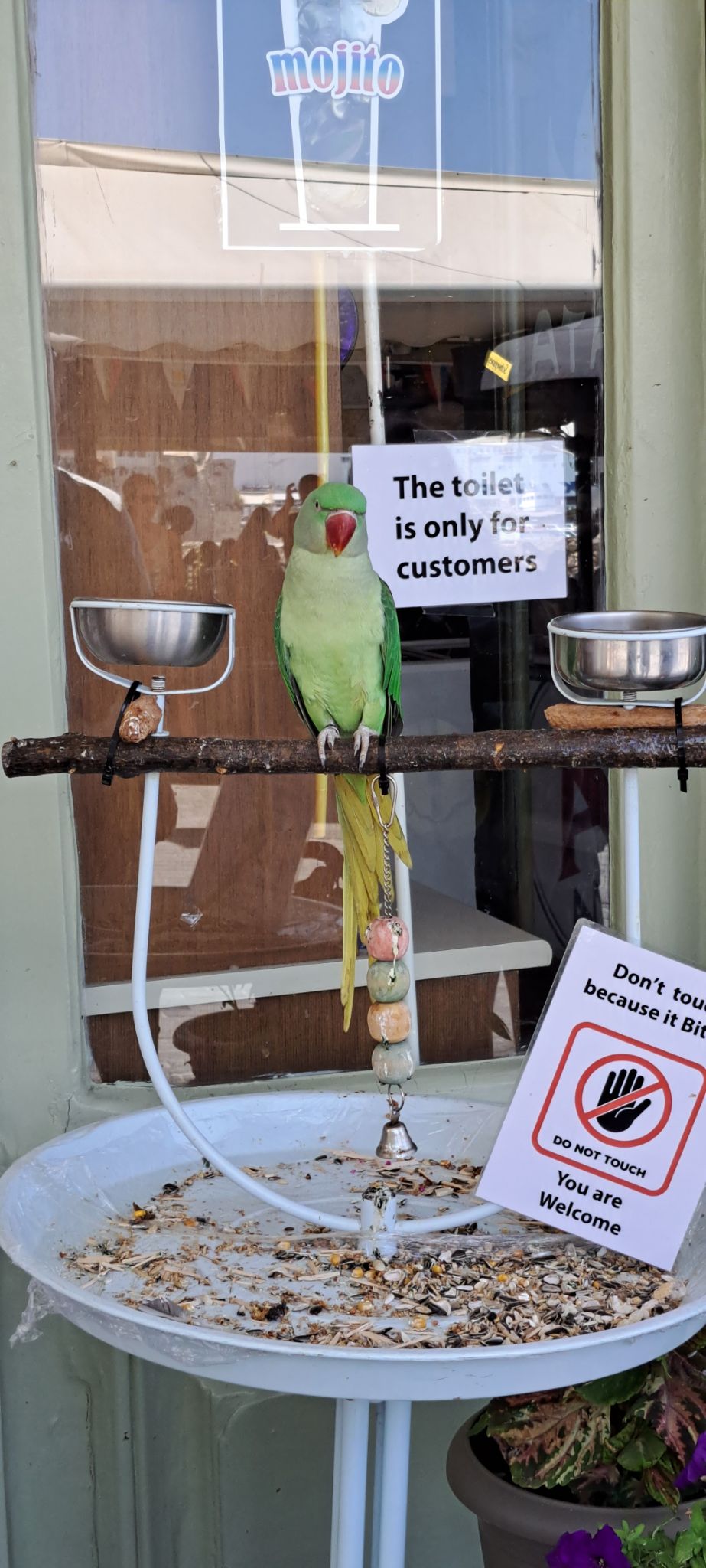 2023 08 25 13.27.56 samsung a53