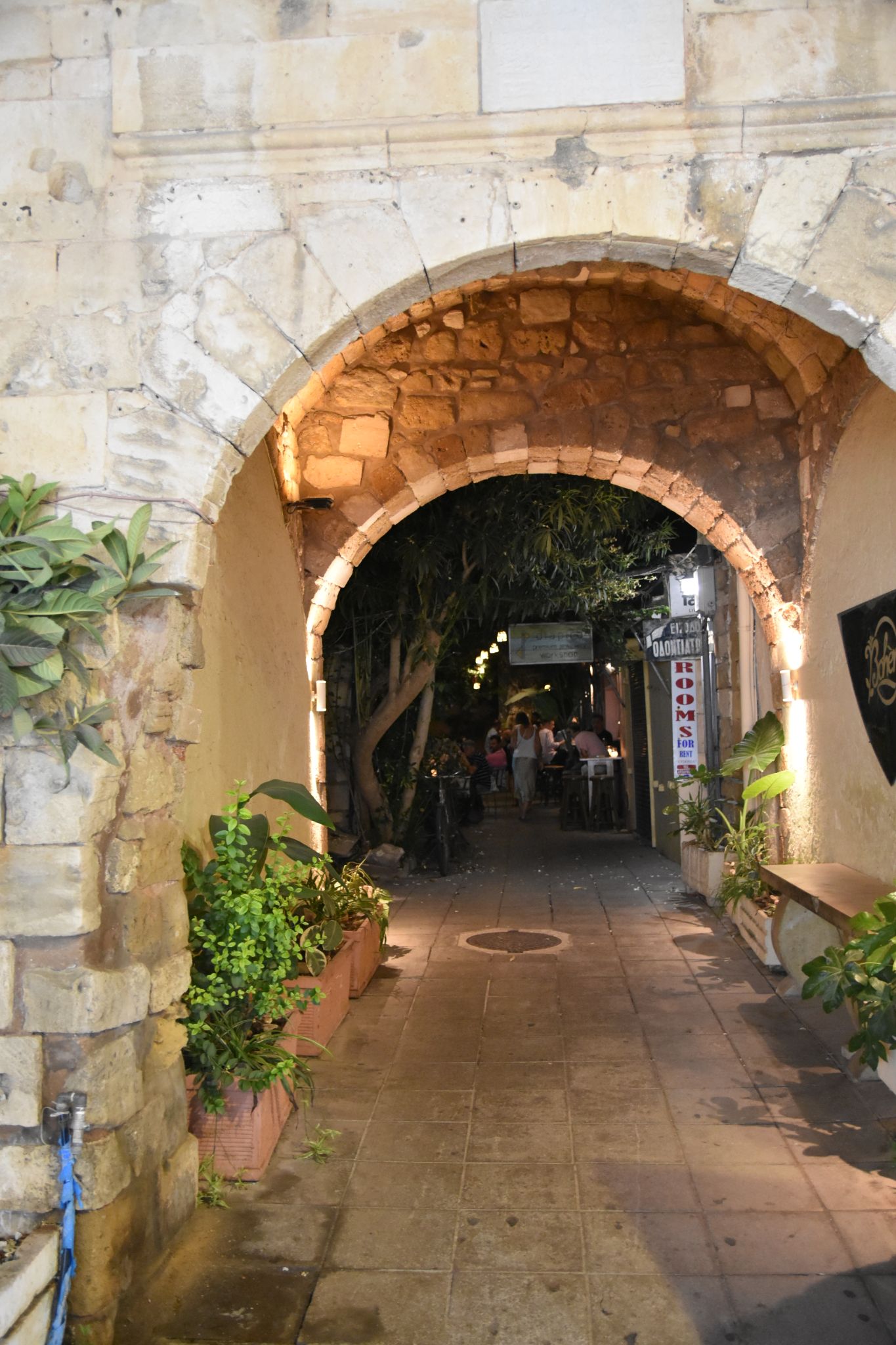 2023 08 24 22.29.20 nikon d7200