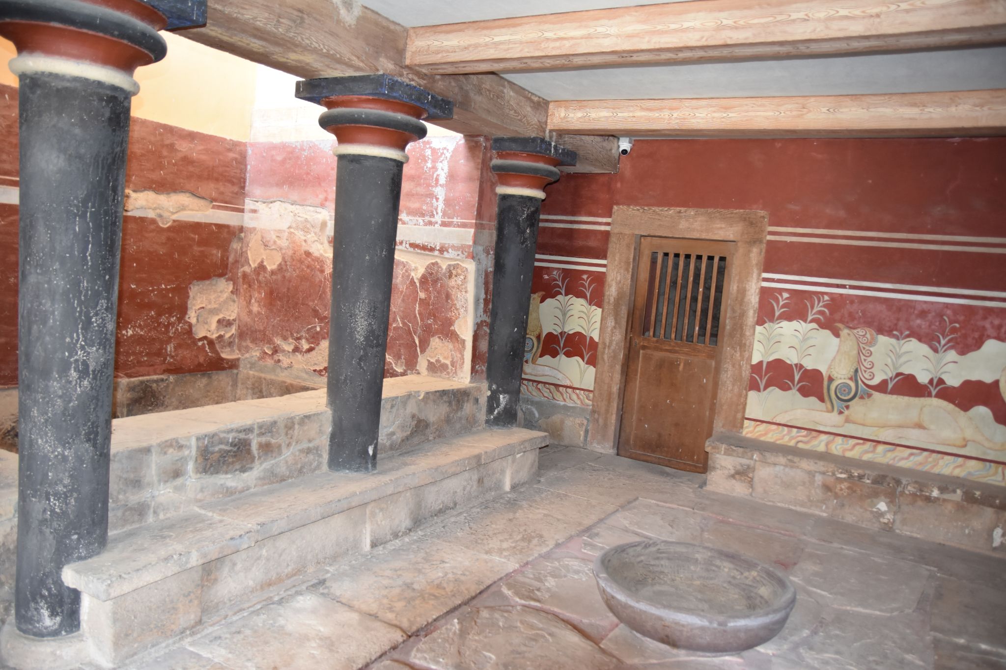 2023 08 25 09.19.34 nikon d7200