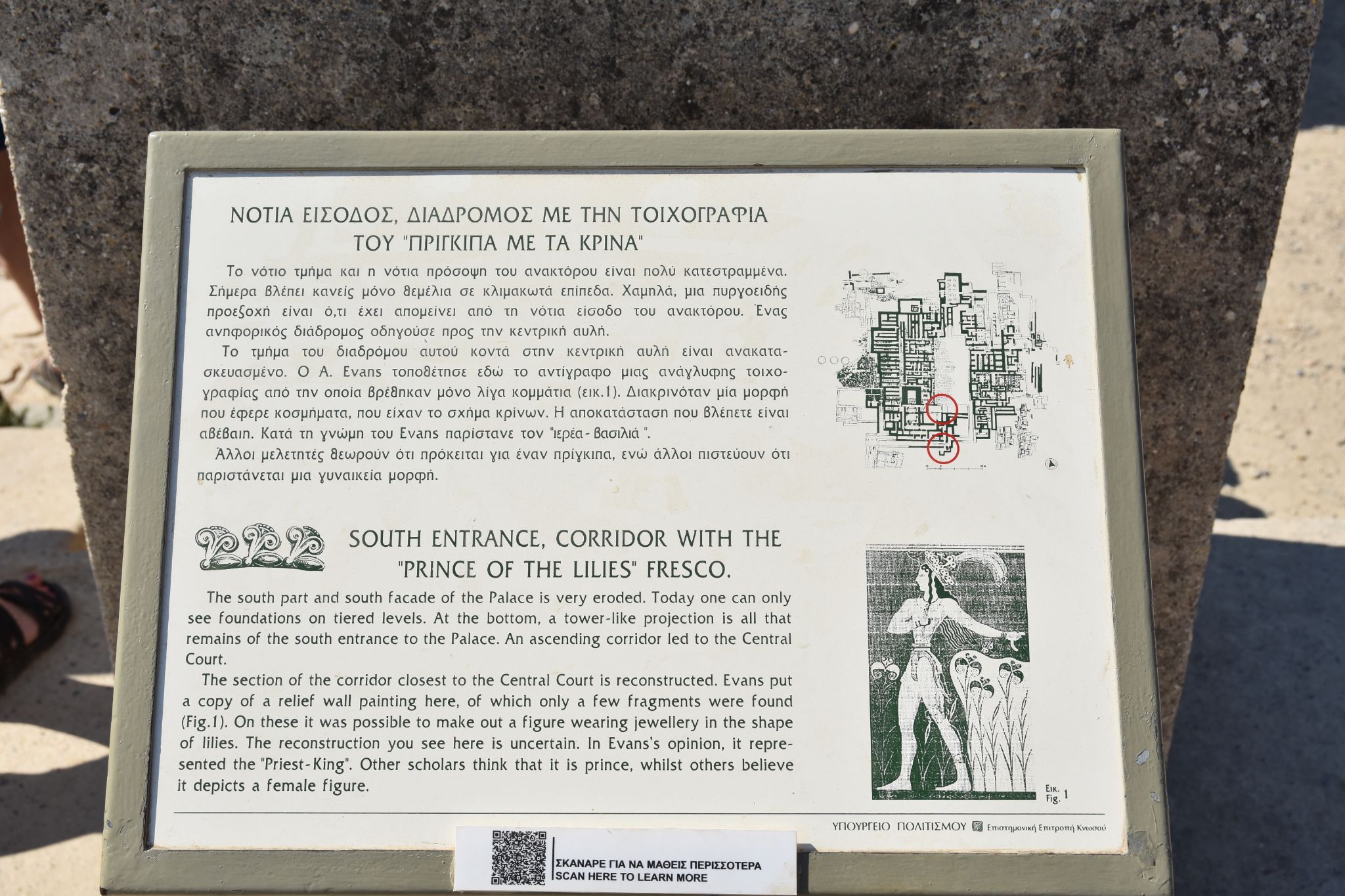 2023 08 25 09.39.59 nikon d7200