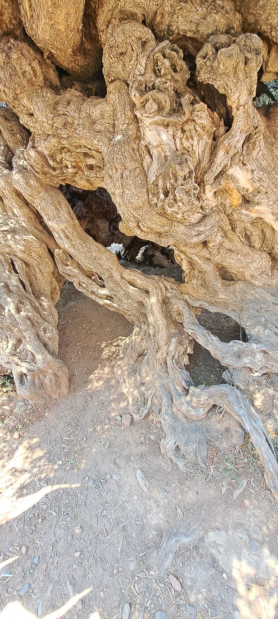 2023 08 26 15.22.02 samsung a53