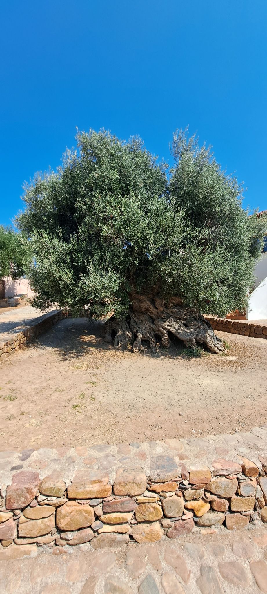 2023 08 26 15.22.39 samsung a53