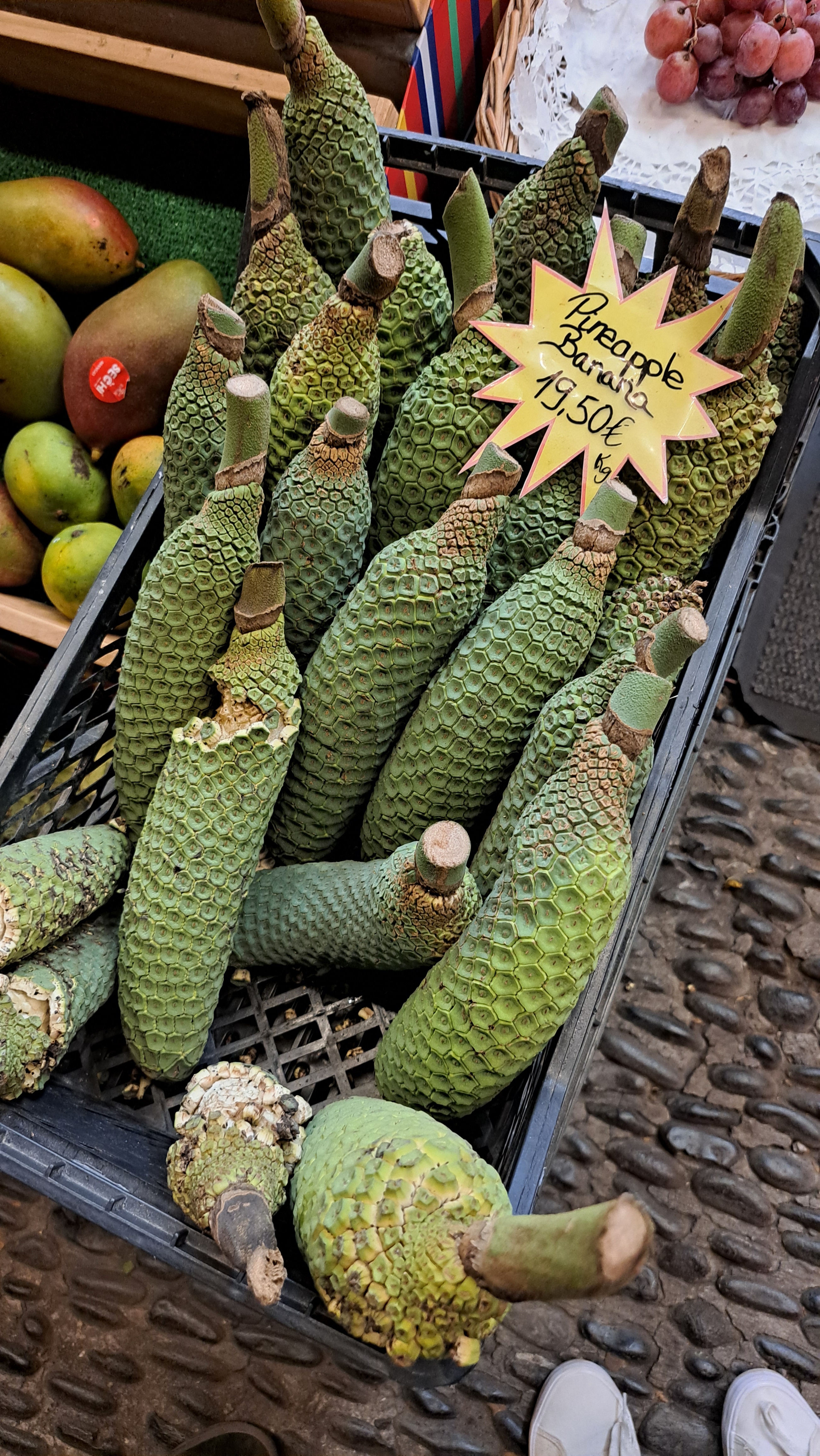 2024 11 22 19.38.07 samsung a53