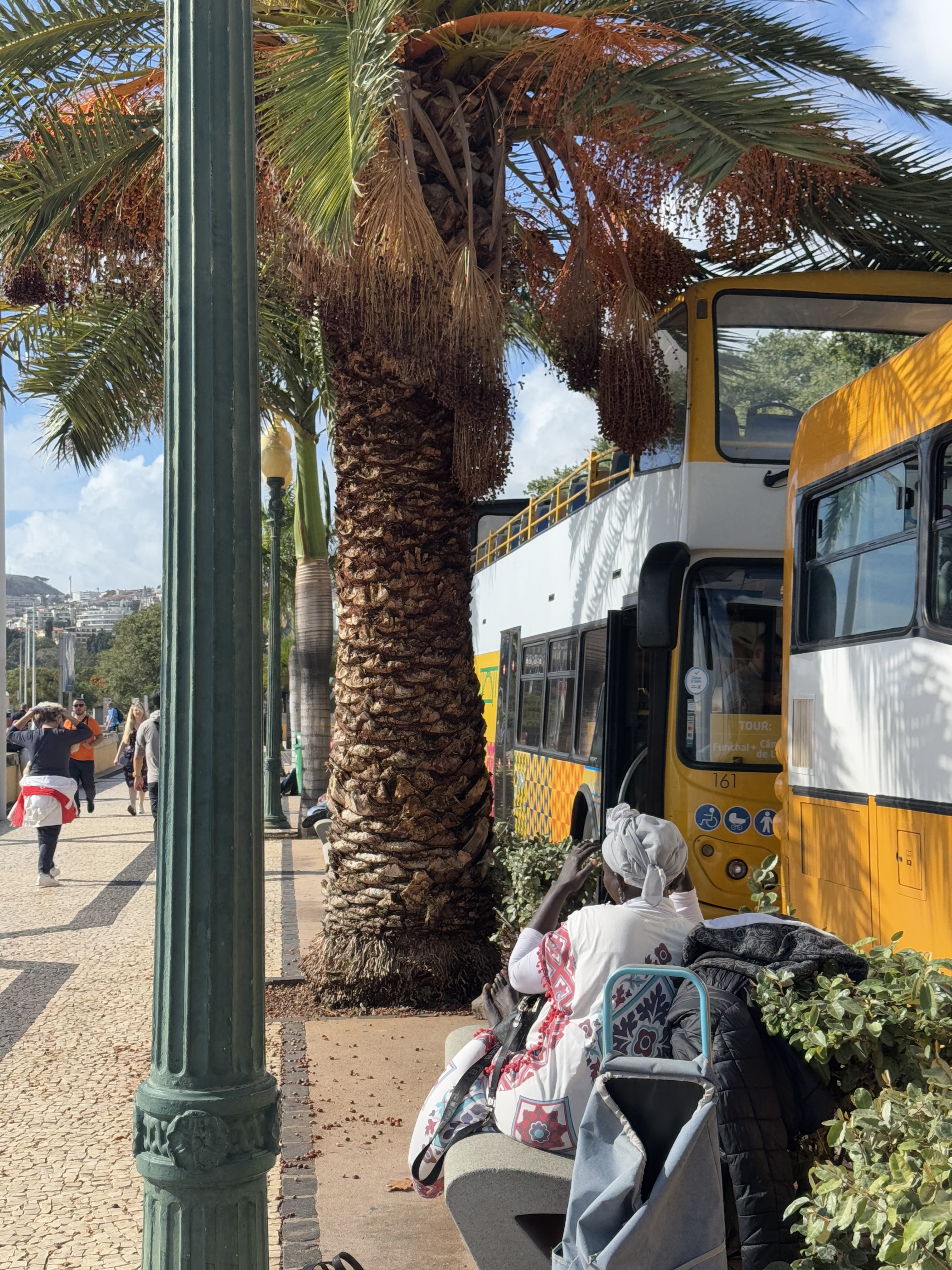 2024 11 24 13.51.25 iphone 15pm