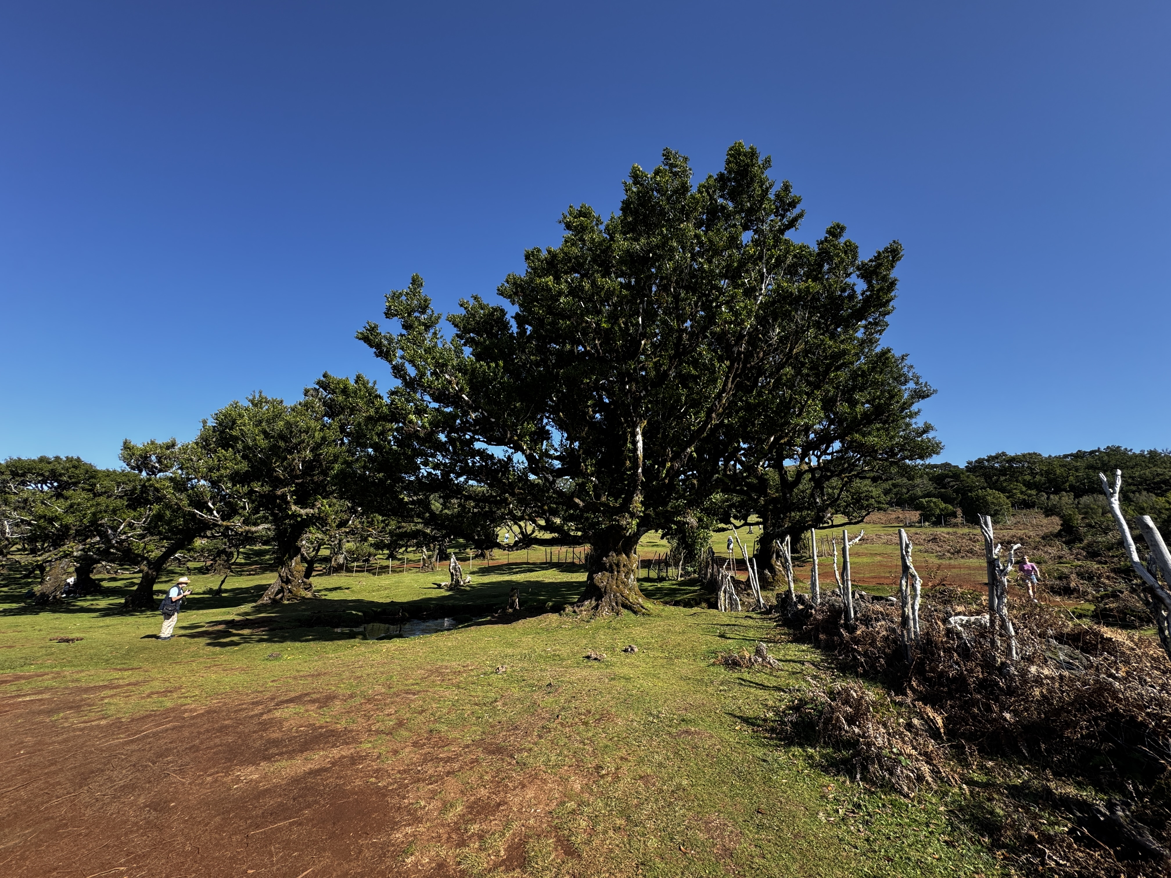 2024 11 22 12.33.02 iphone 15pm