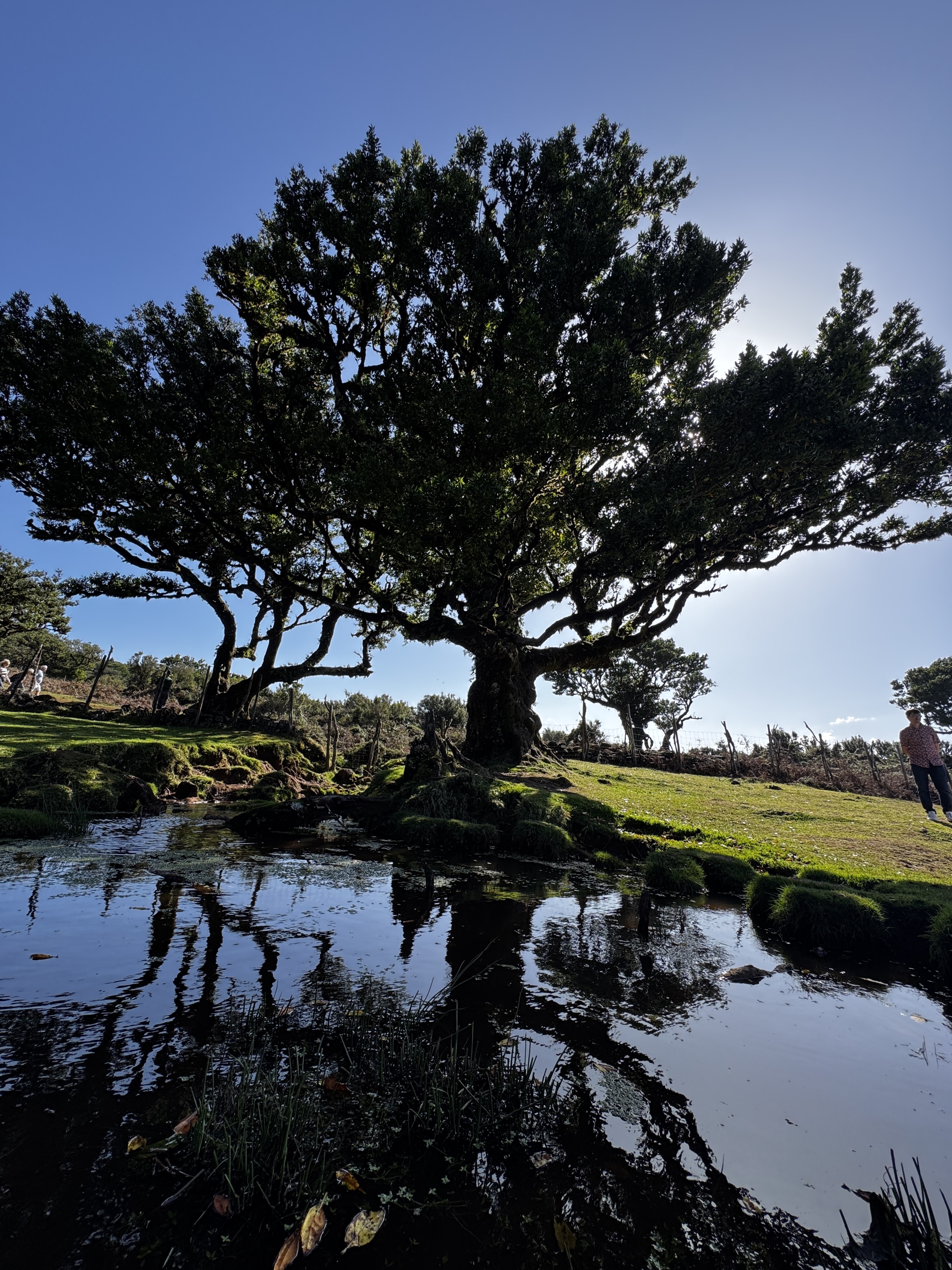 2024 11 22 12.33.37 iphone 15pm