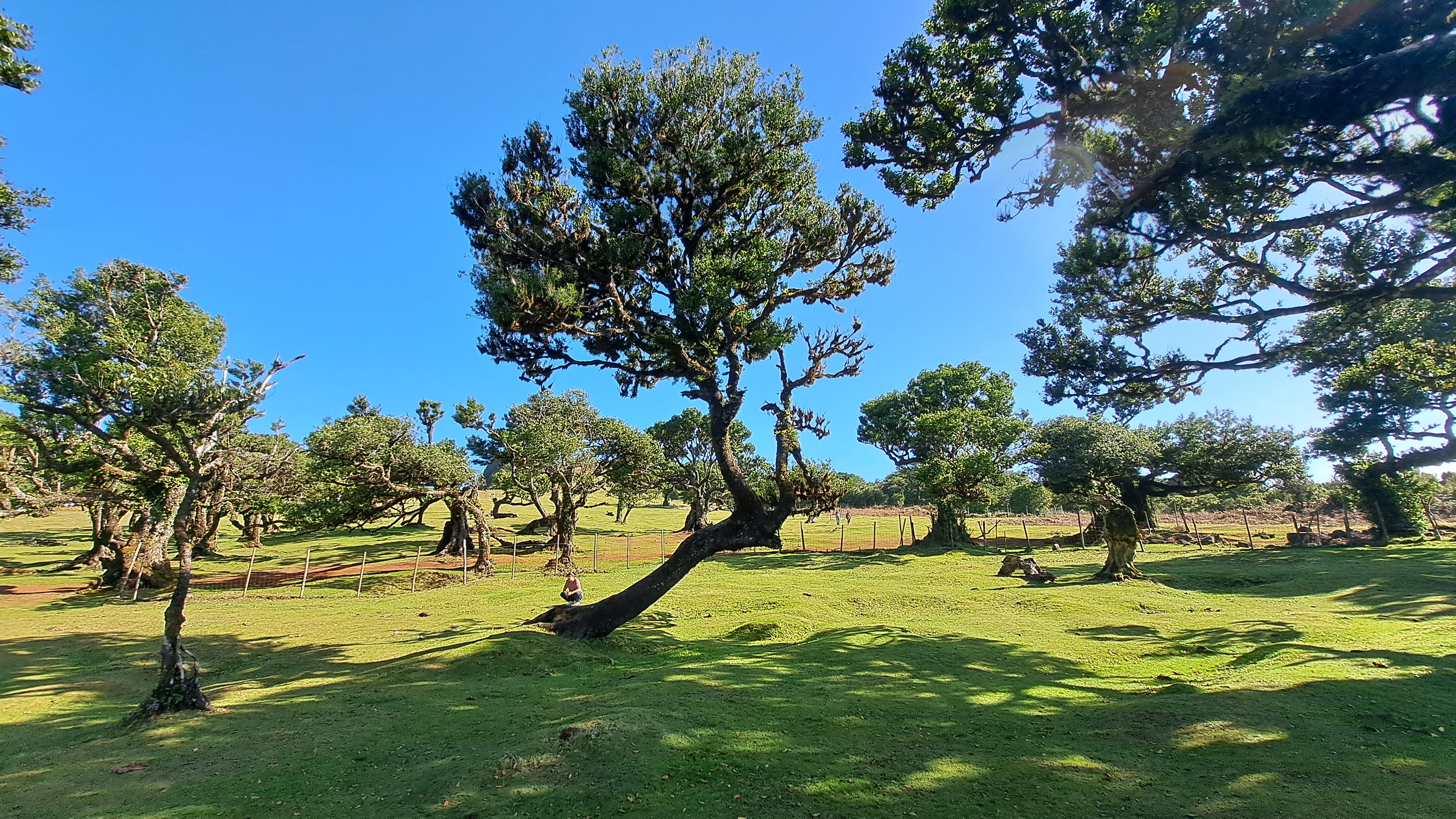 2024 11 22 12.35.53 samsung a53